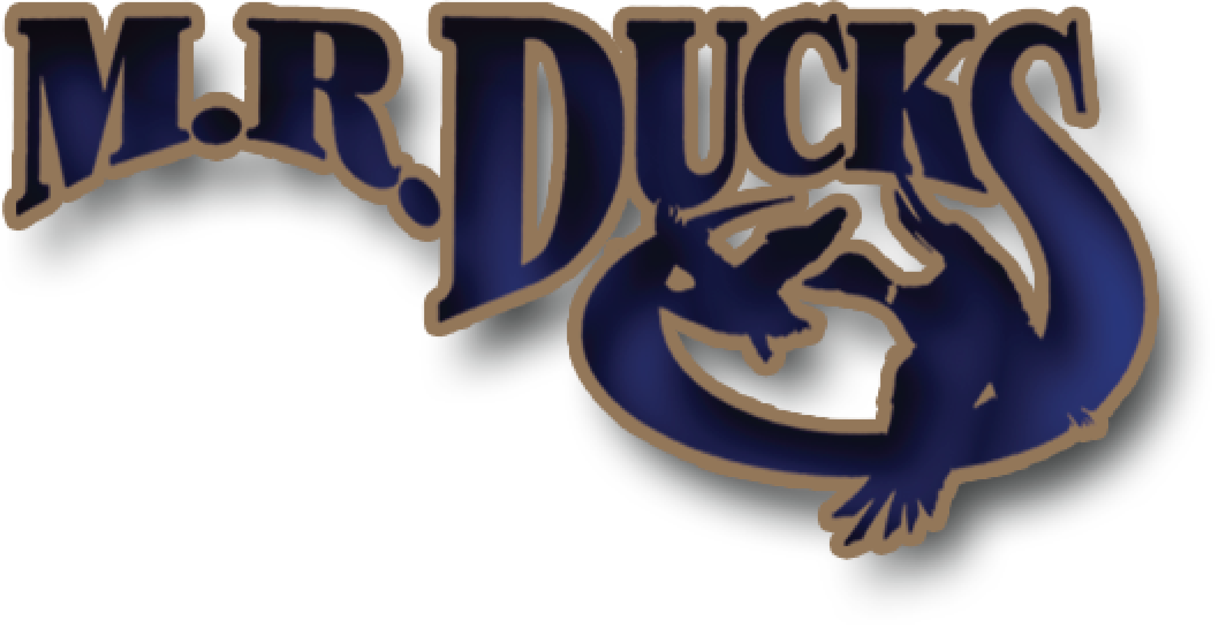 Old Skool.png
