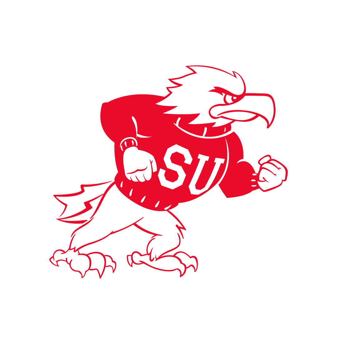 VLogo.png