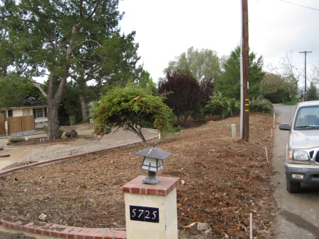 before01.jpg