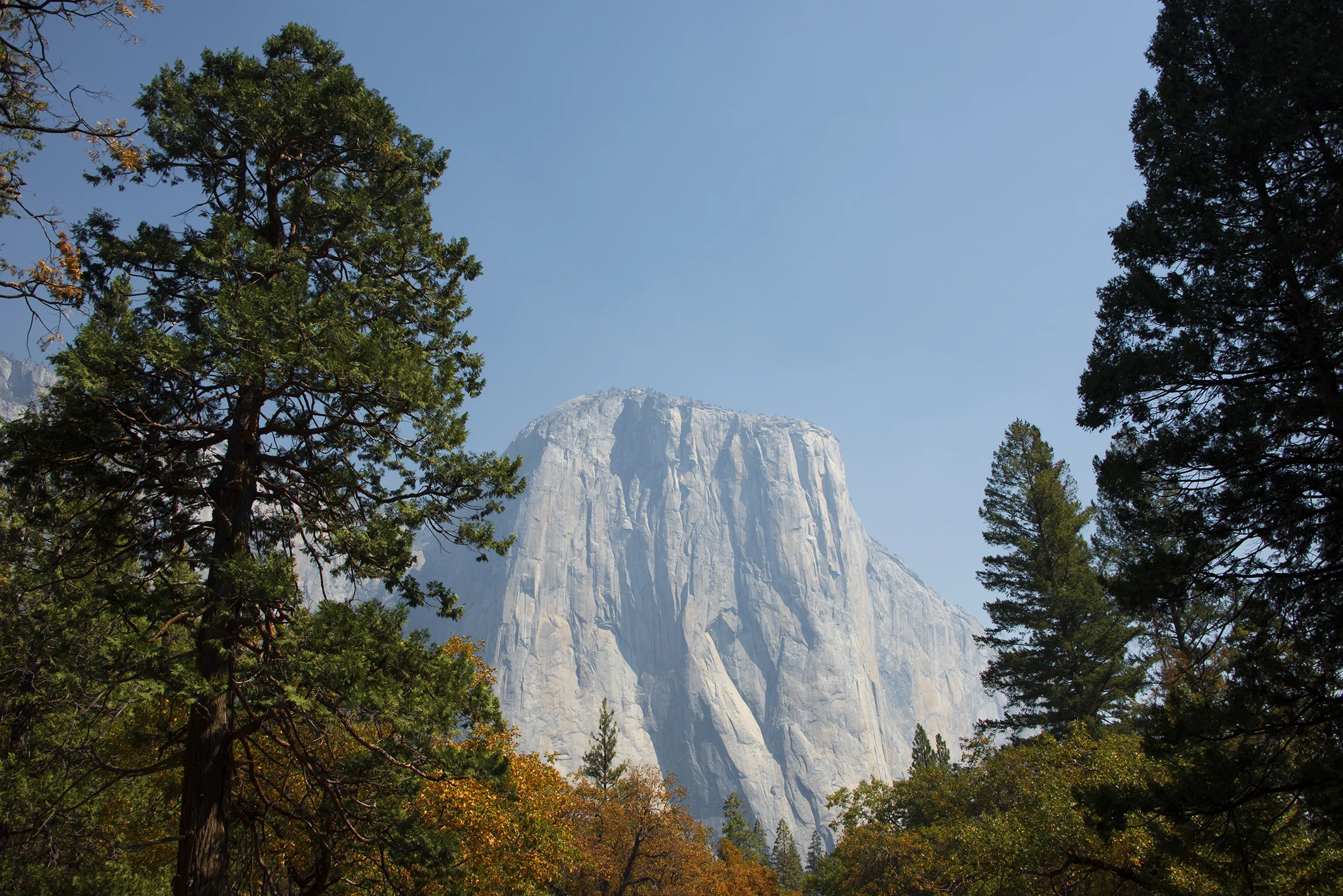 DSC_0808sm.jpg