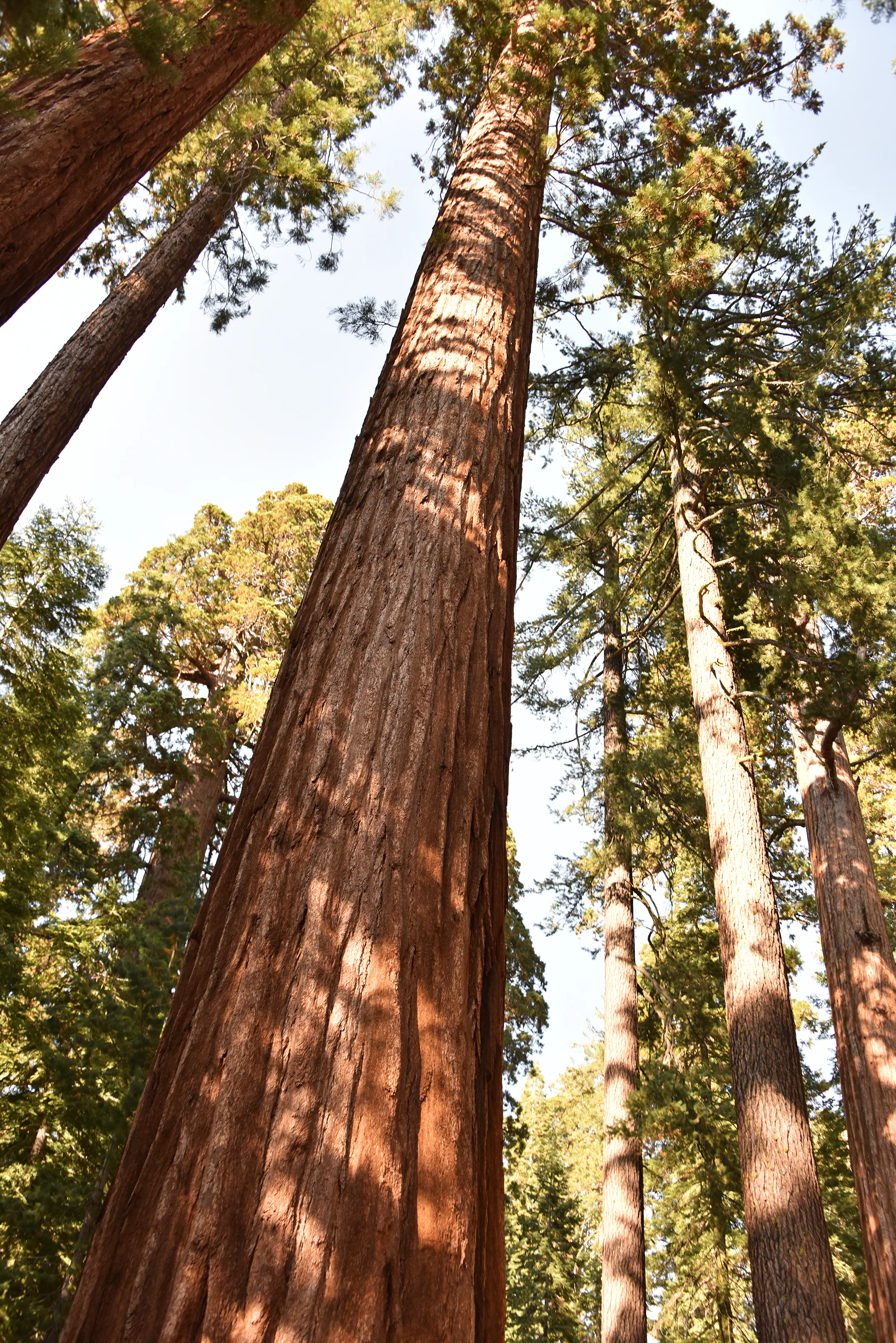 DSC_0161sm.jpg
