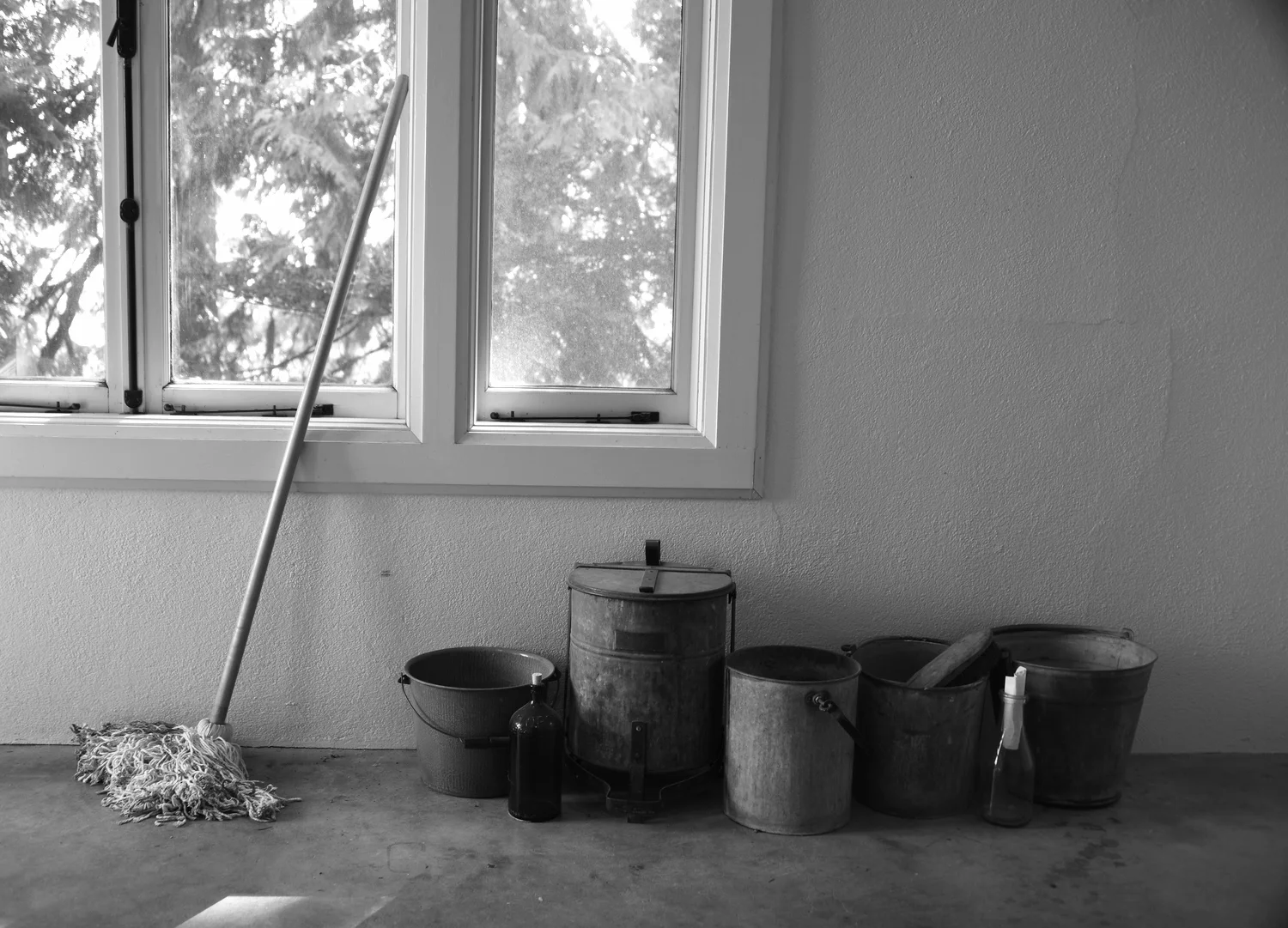 DSC_3395sm.jpg
