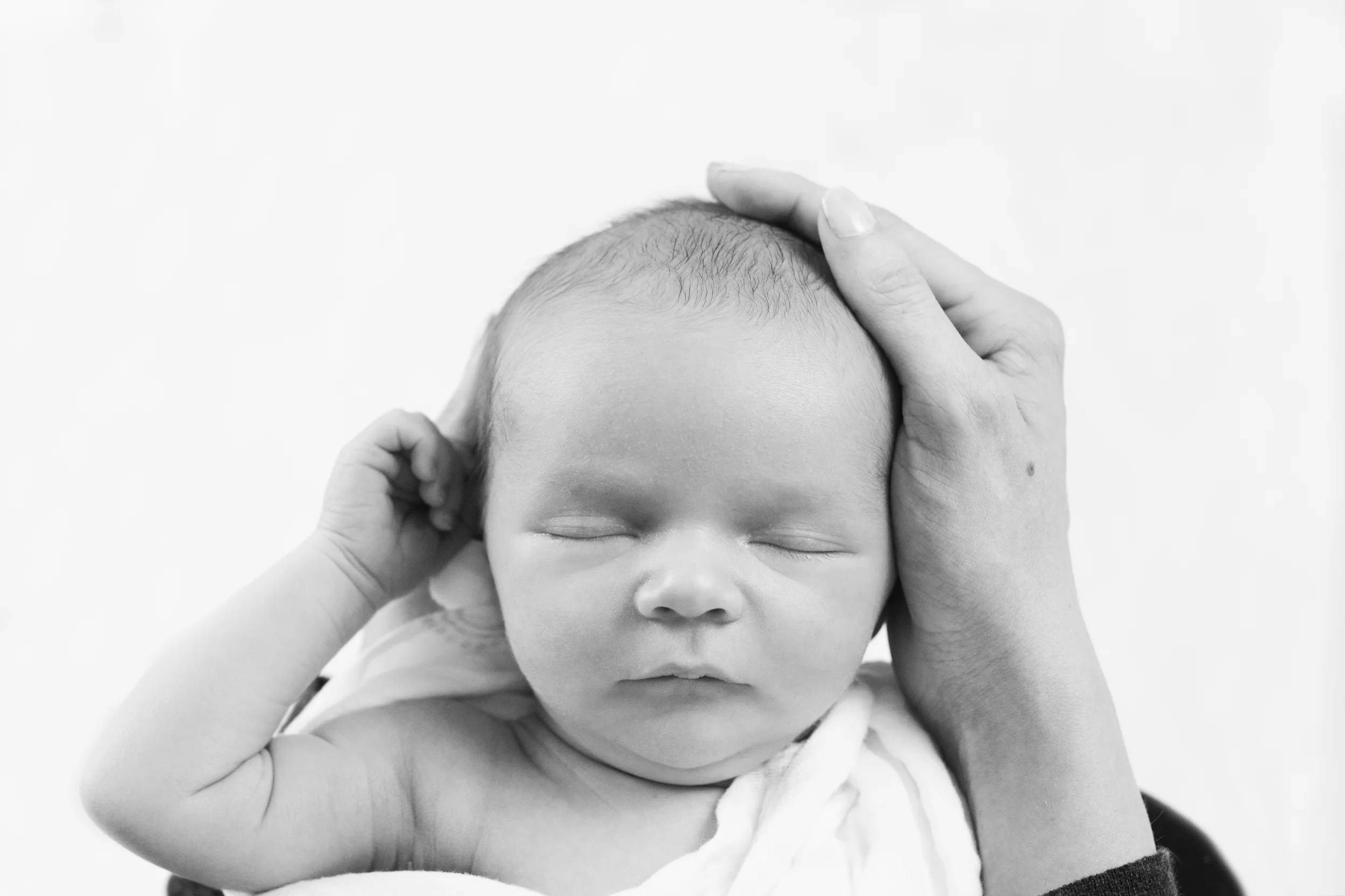DSC_2175-bw.jpg