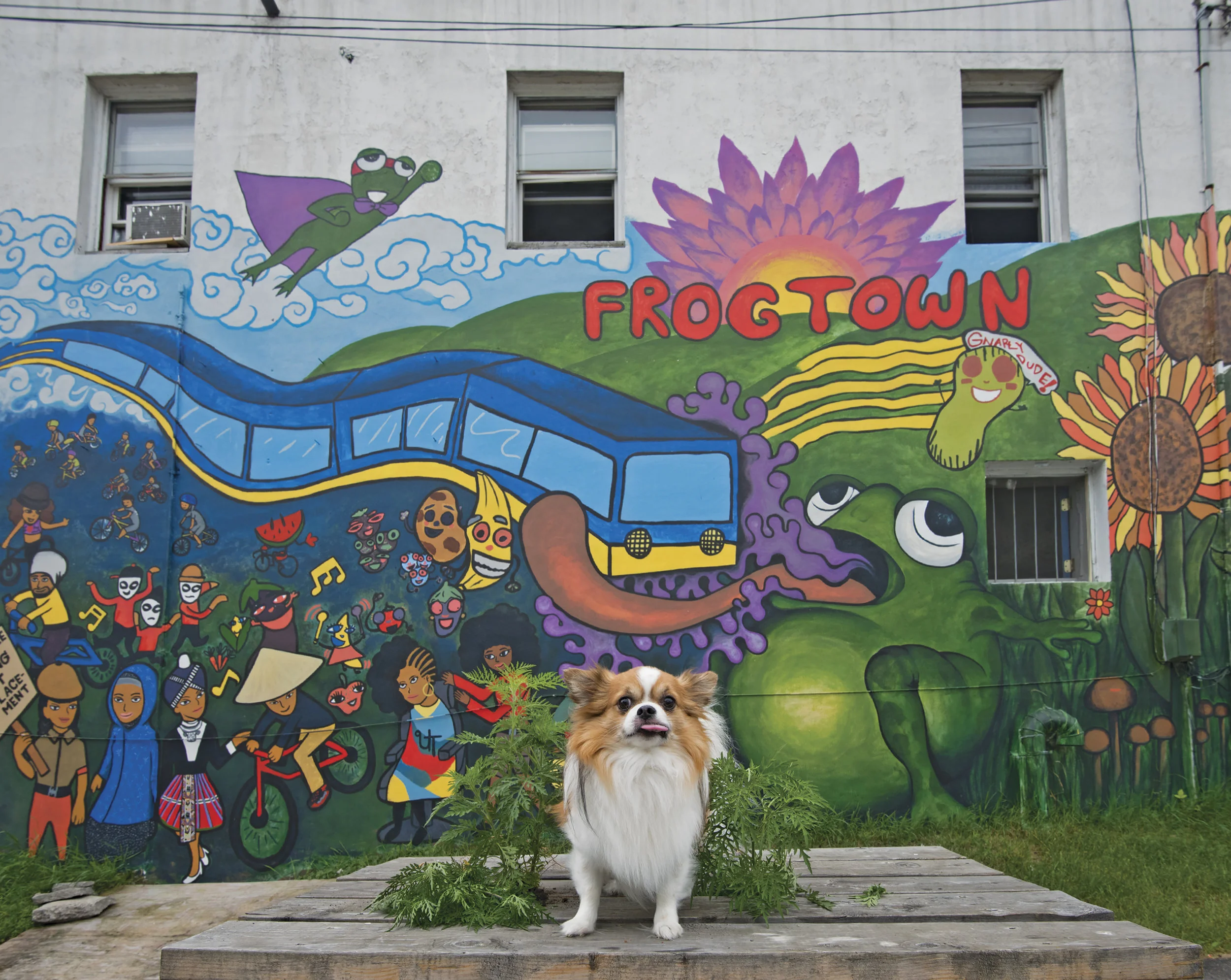 3-Mississippi Market-Photo.jpg
