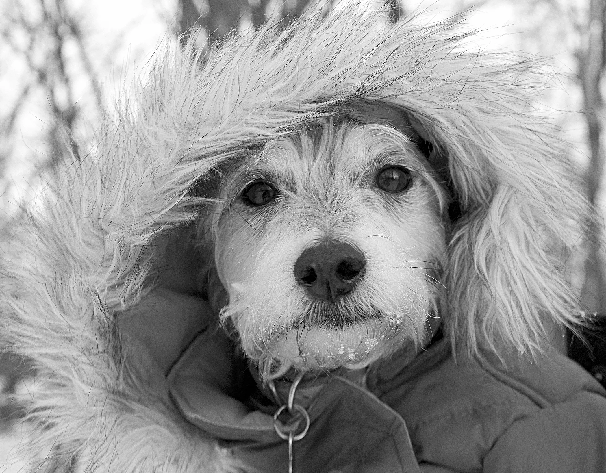 _DSC0206.jpg