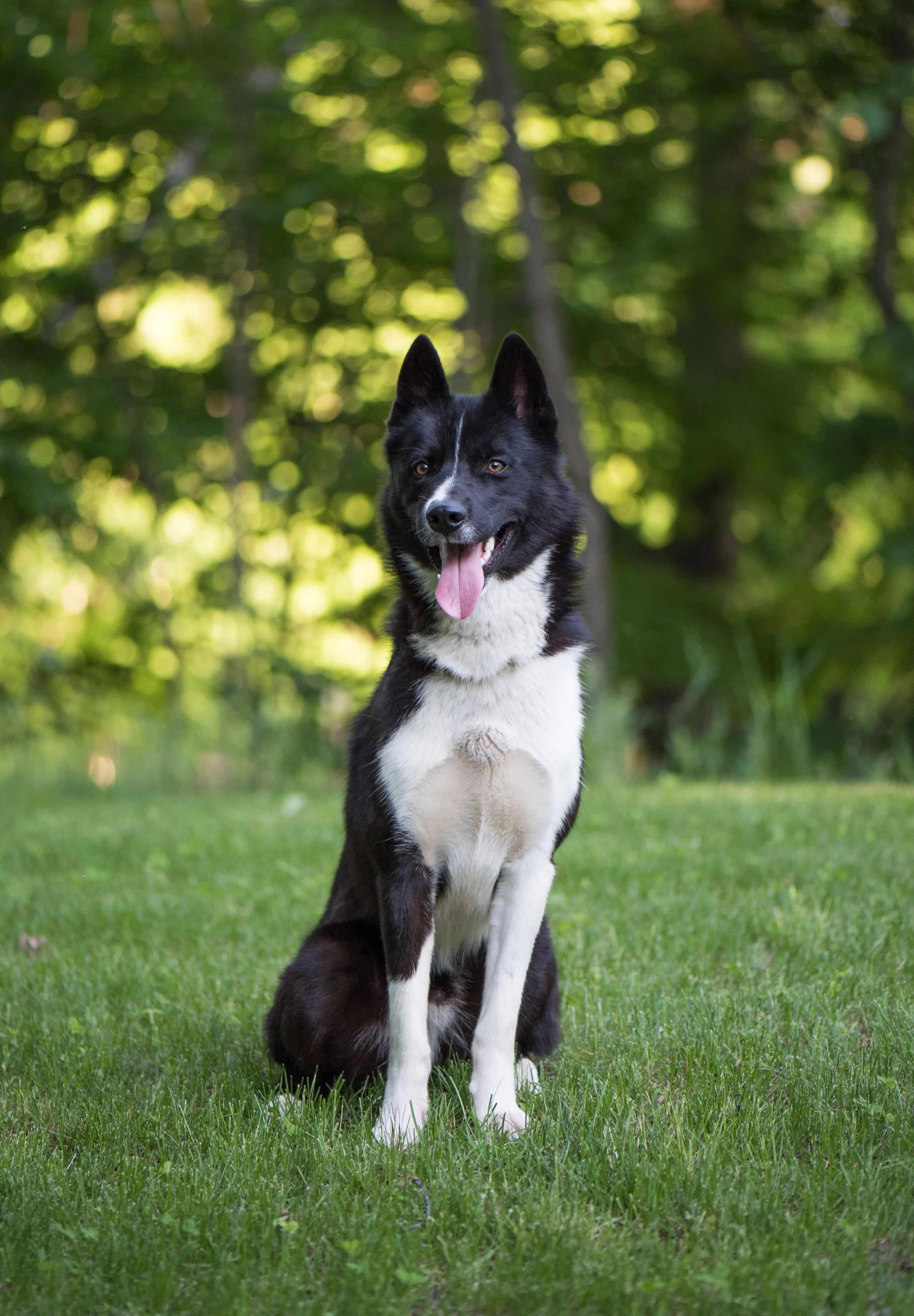 DSC_8631-2.jpg