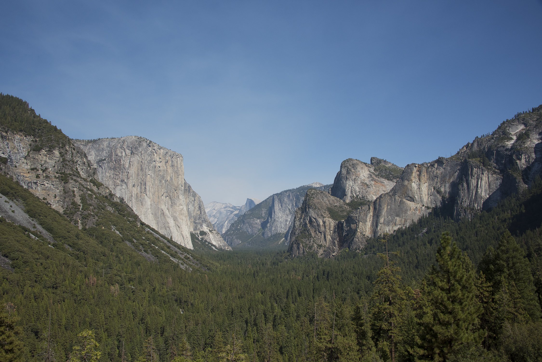DSC_1499sm.jpg