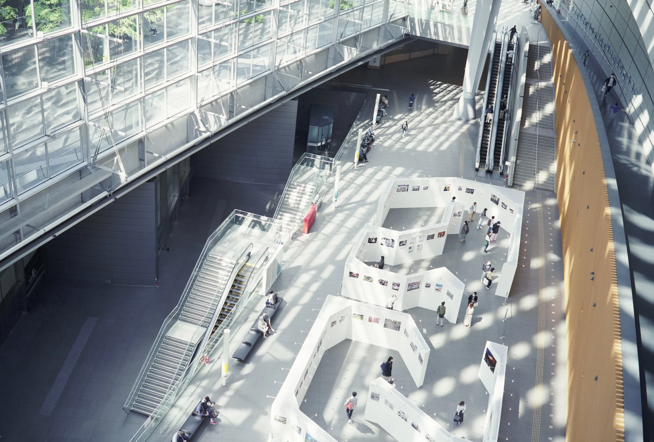 TokyoForum3r のコピー.jpg