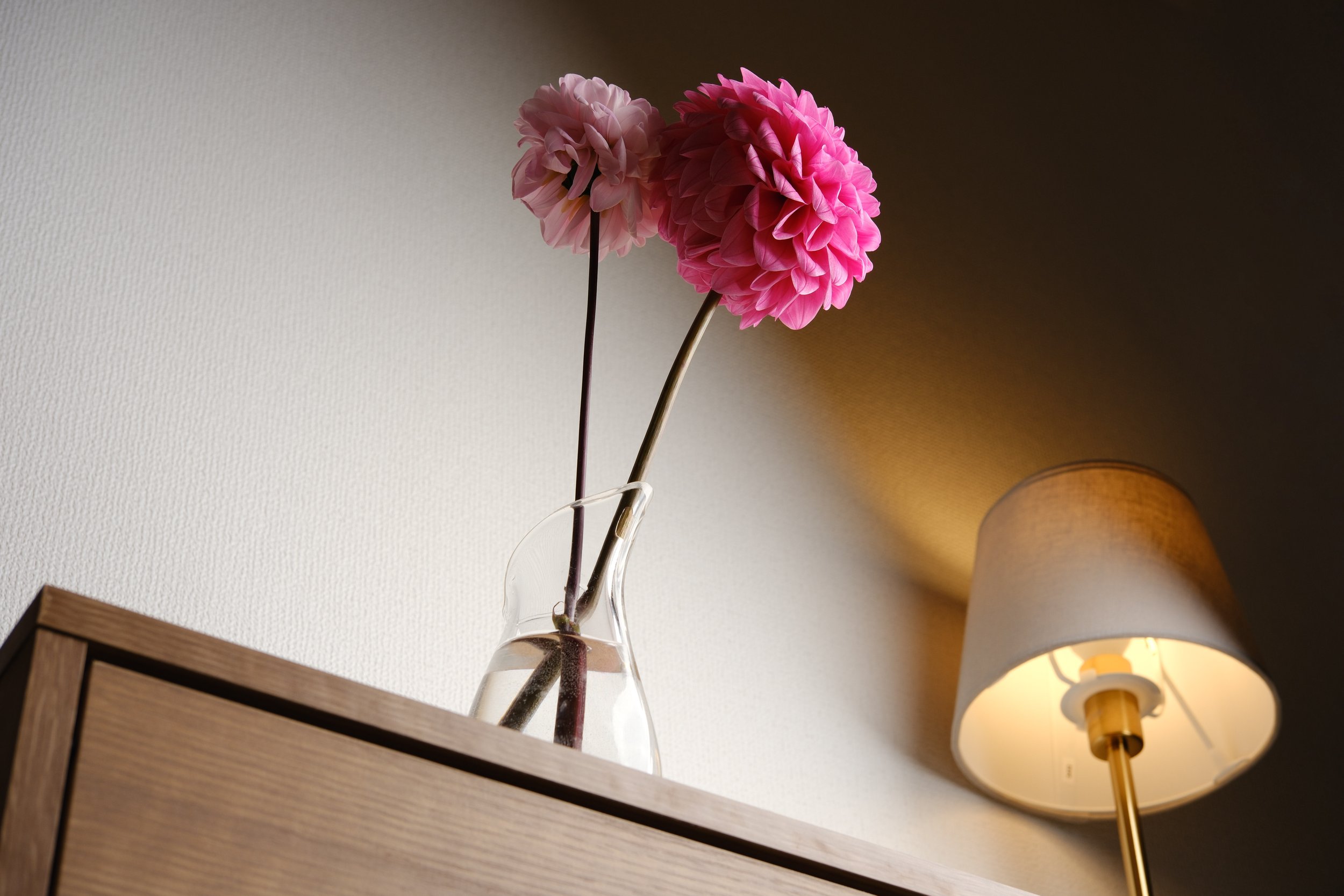 002 のコピー.jpg