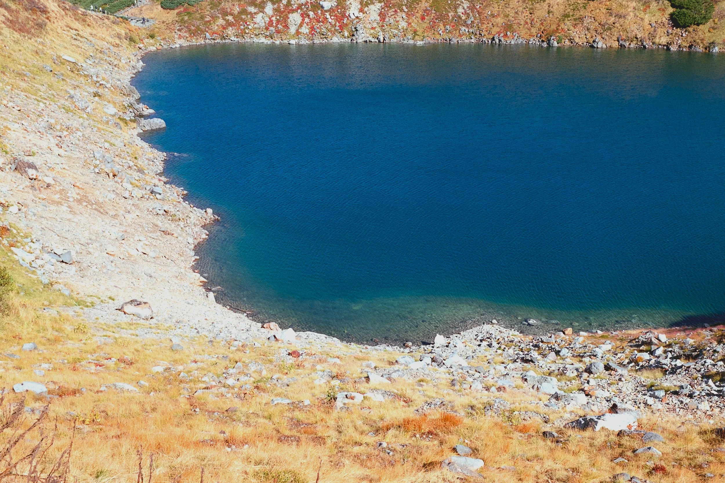 016 のコピー.jpg