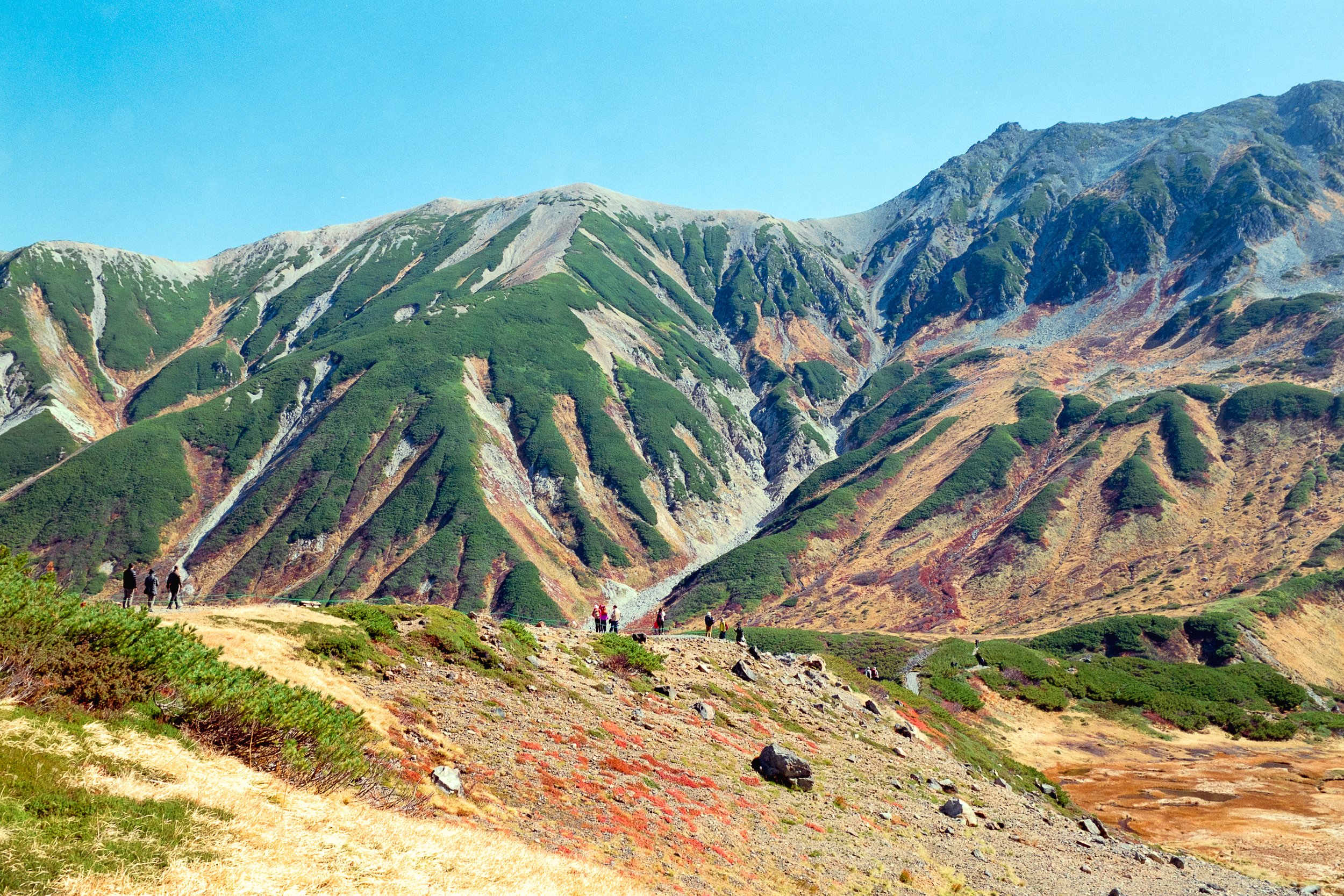 017 のコピー.jpg