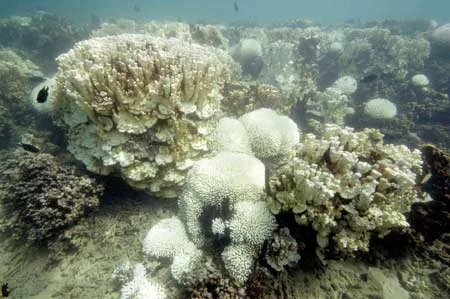p9a.jpg