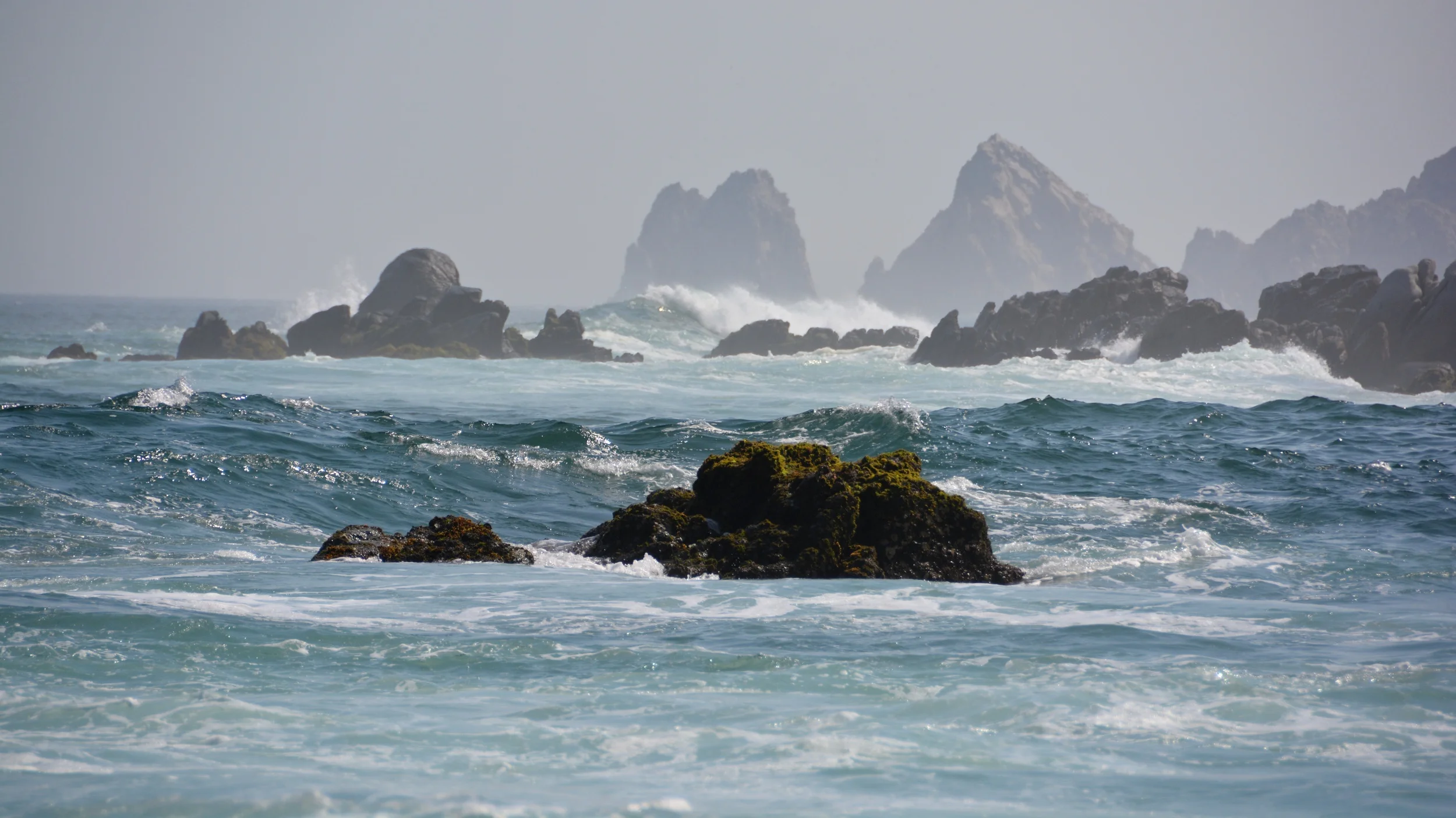 DSC_1216.jpeg
