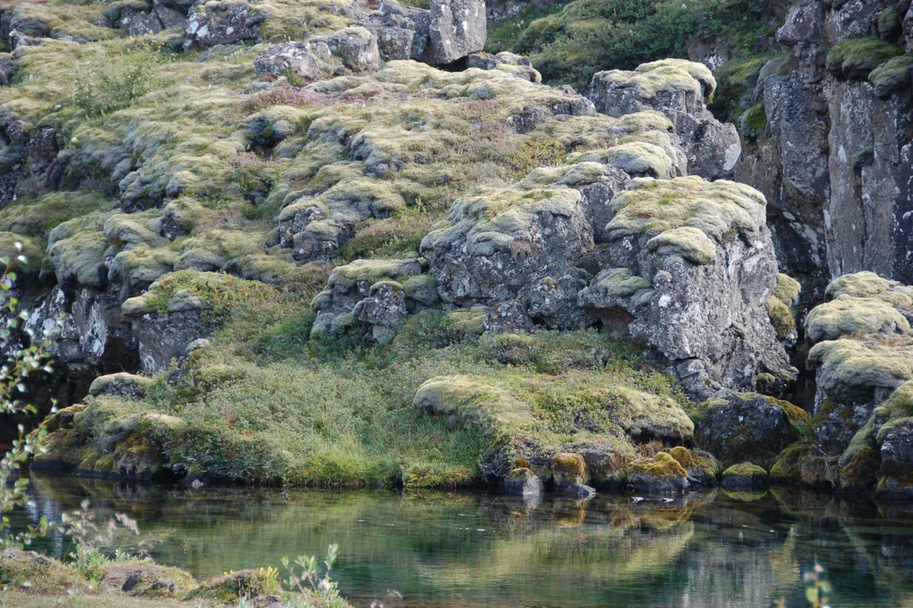Iceland_Pingvellir_9.jpeg