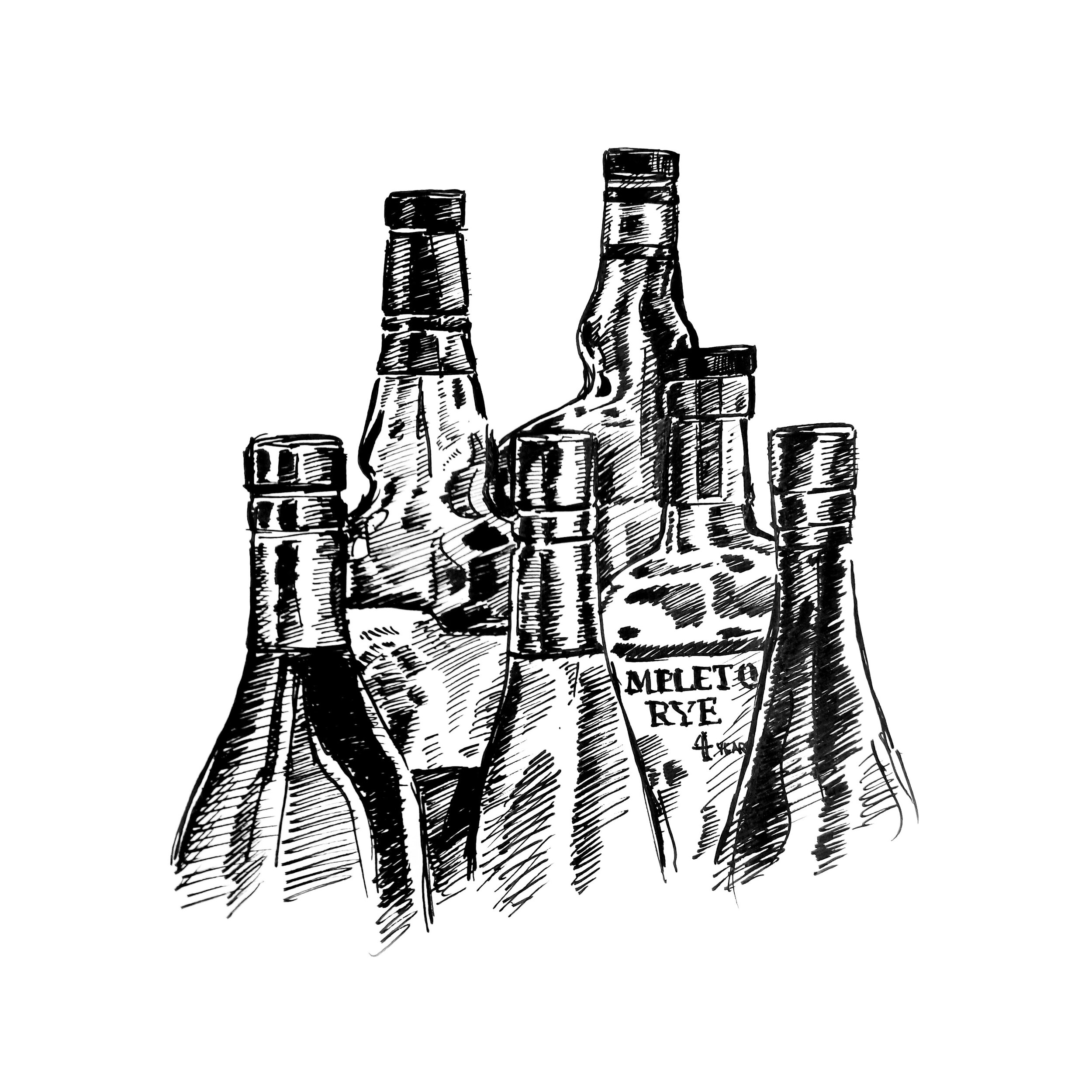 bottles-ink-drawing-wine-1