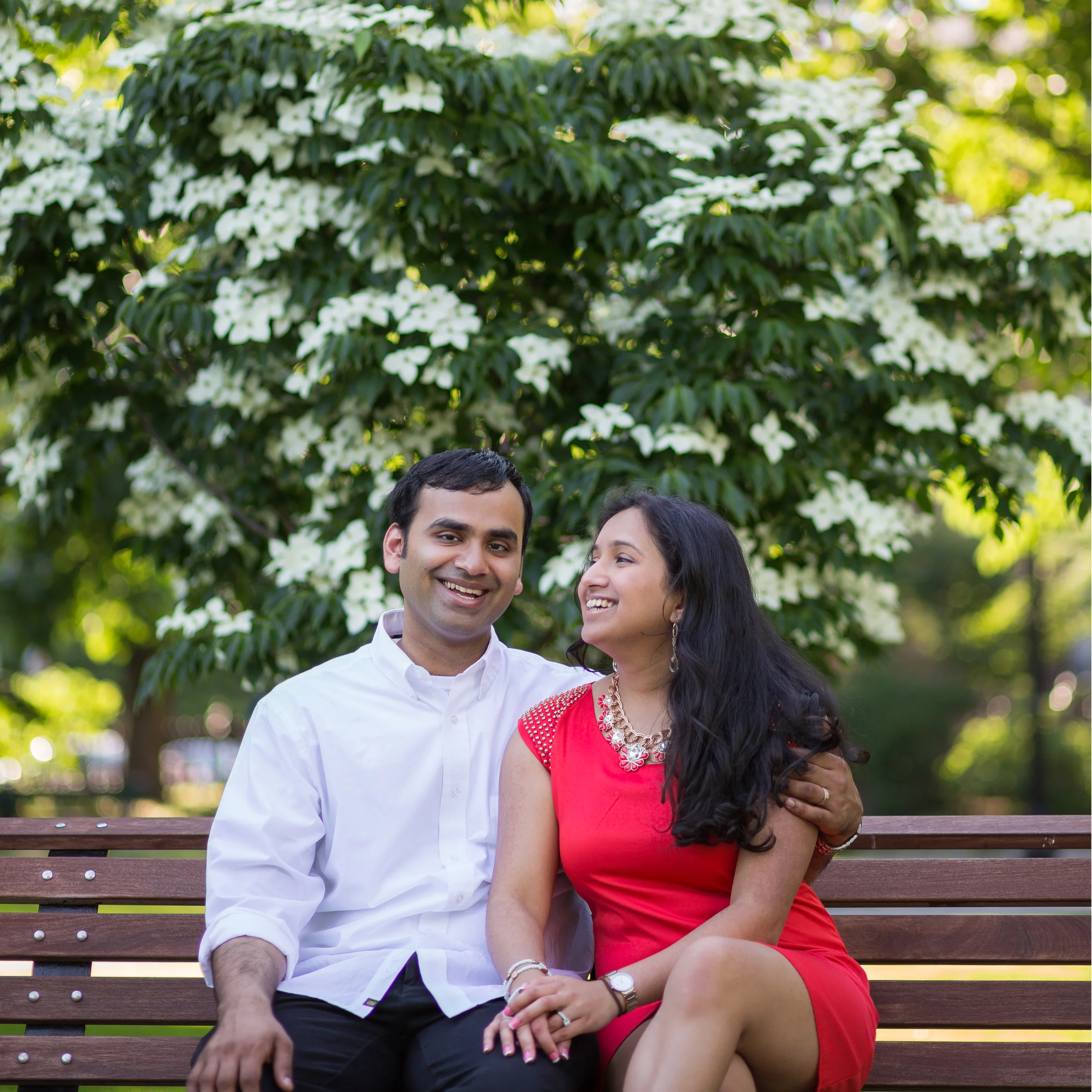 Boston Public Gardens Newlywed Portrait Session | Boston, MA