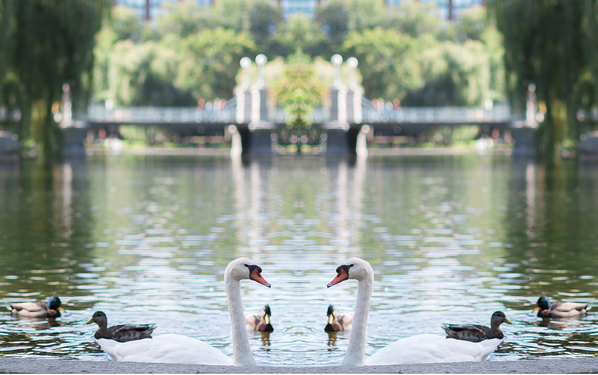 Lenox Hotel Wedding | Cole + Kiera Photography