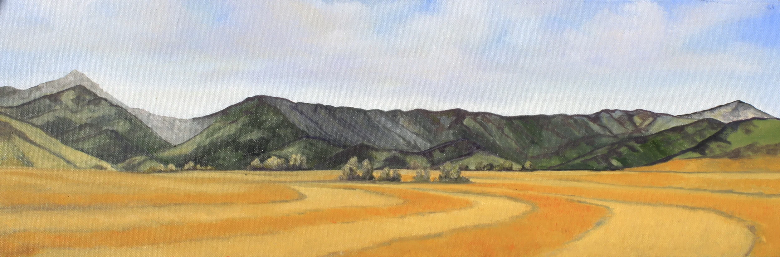 SOLD Springhill 8x24 2014 Special Commission