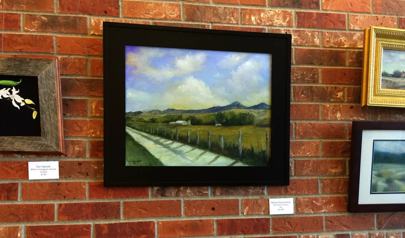 SMArts Art Show July 2014 