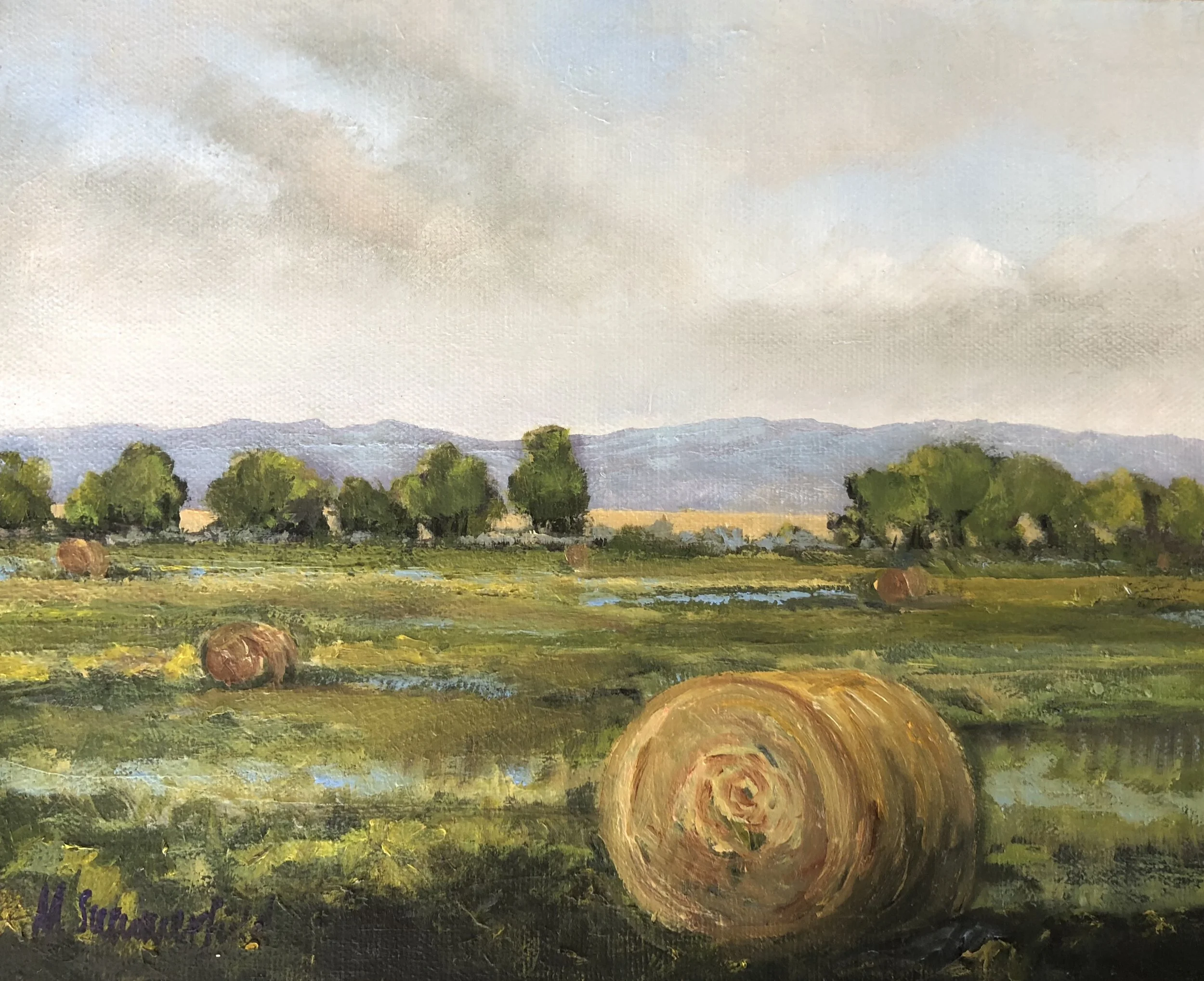 IMPRESSIONS OF SPANISH PEAKS WITH HAY BALES, 8X10 $225 OIL, CANVAS PANEL, FRAMED