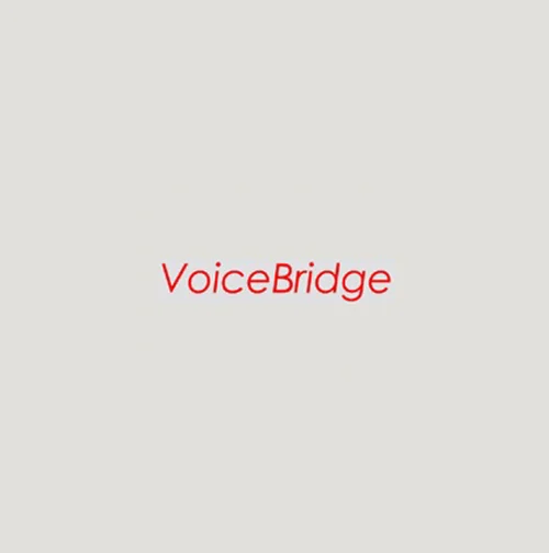 Voice Bridge
