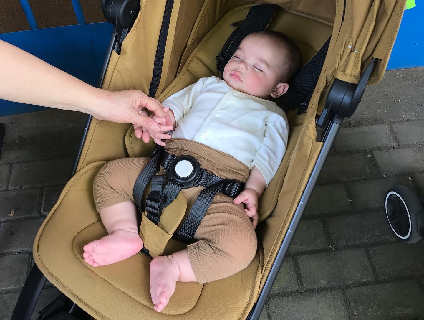 @myjoolz  Loving our Aer+ strollers. Didn't think it would work well for babies but our 4 month old sleeps well in it. Most recently used the rain cover which is also well designed. Only negative is the travel bag it came with already has holes in it