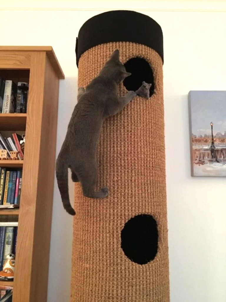 Max
