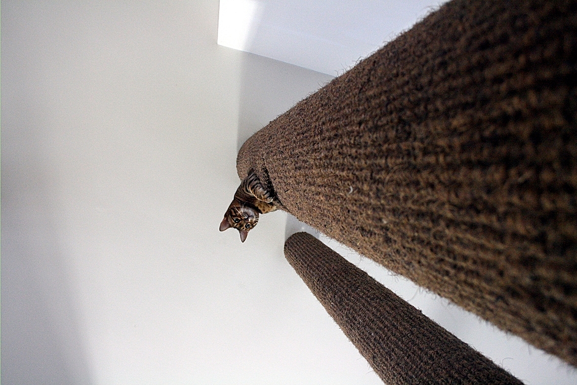 Leroy on the first Hicat® made for our home
