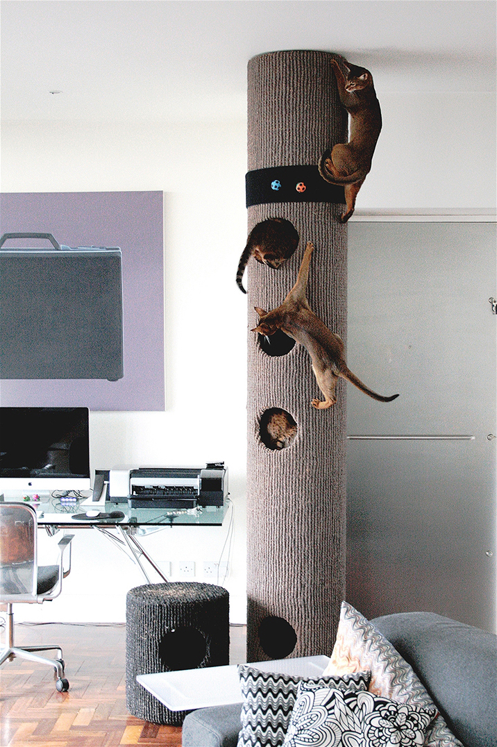 Rudy, Leroy, Tuco & Bello on Fatcat 4