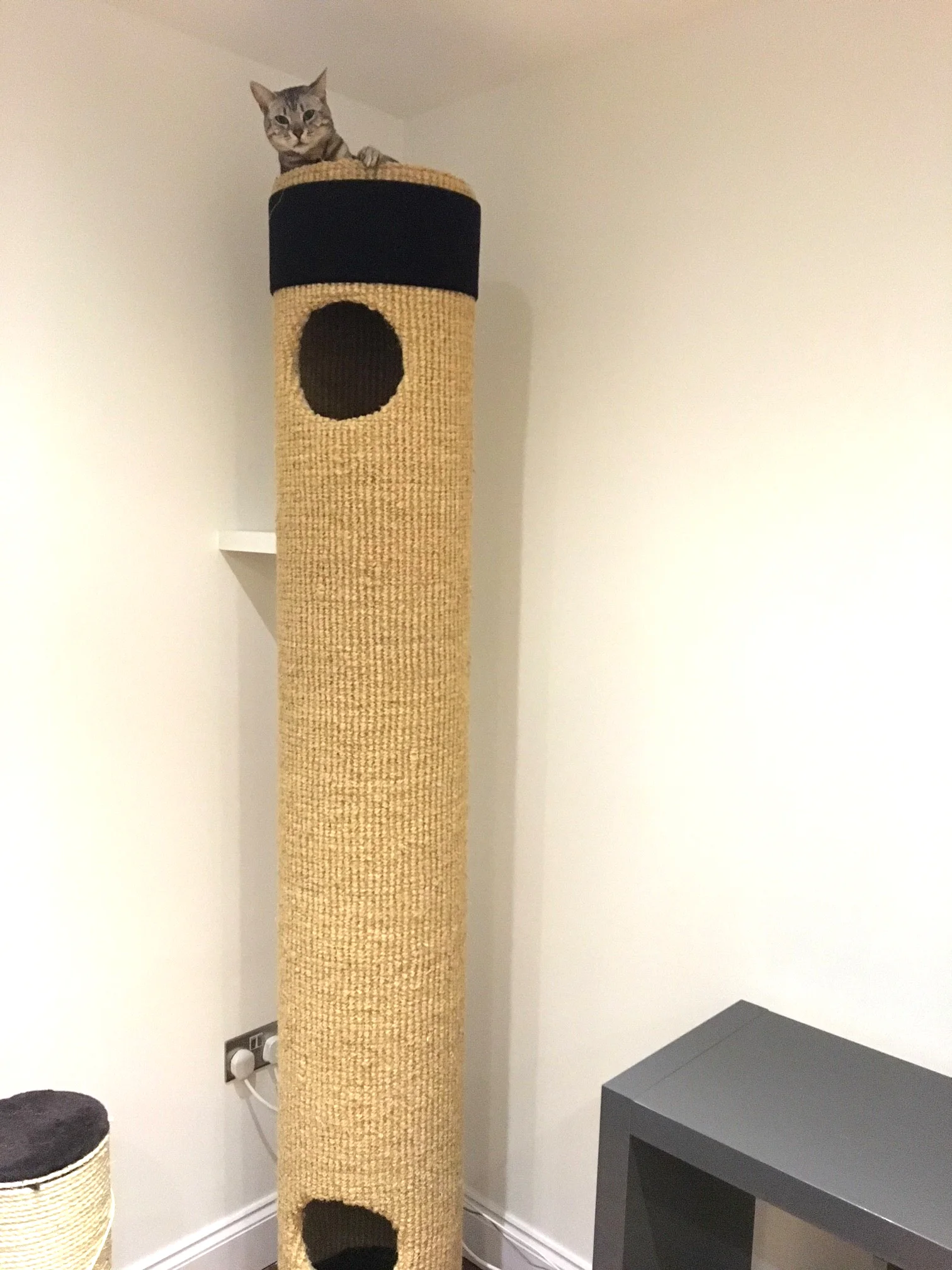 Mirko Hicat Australia