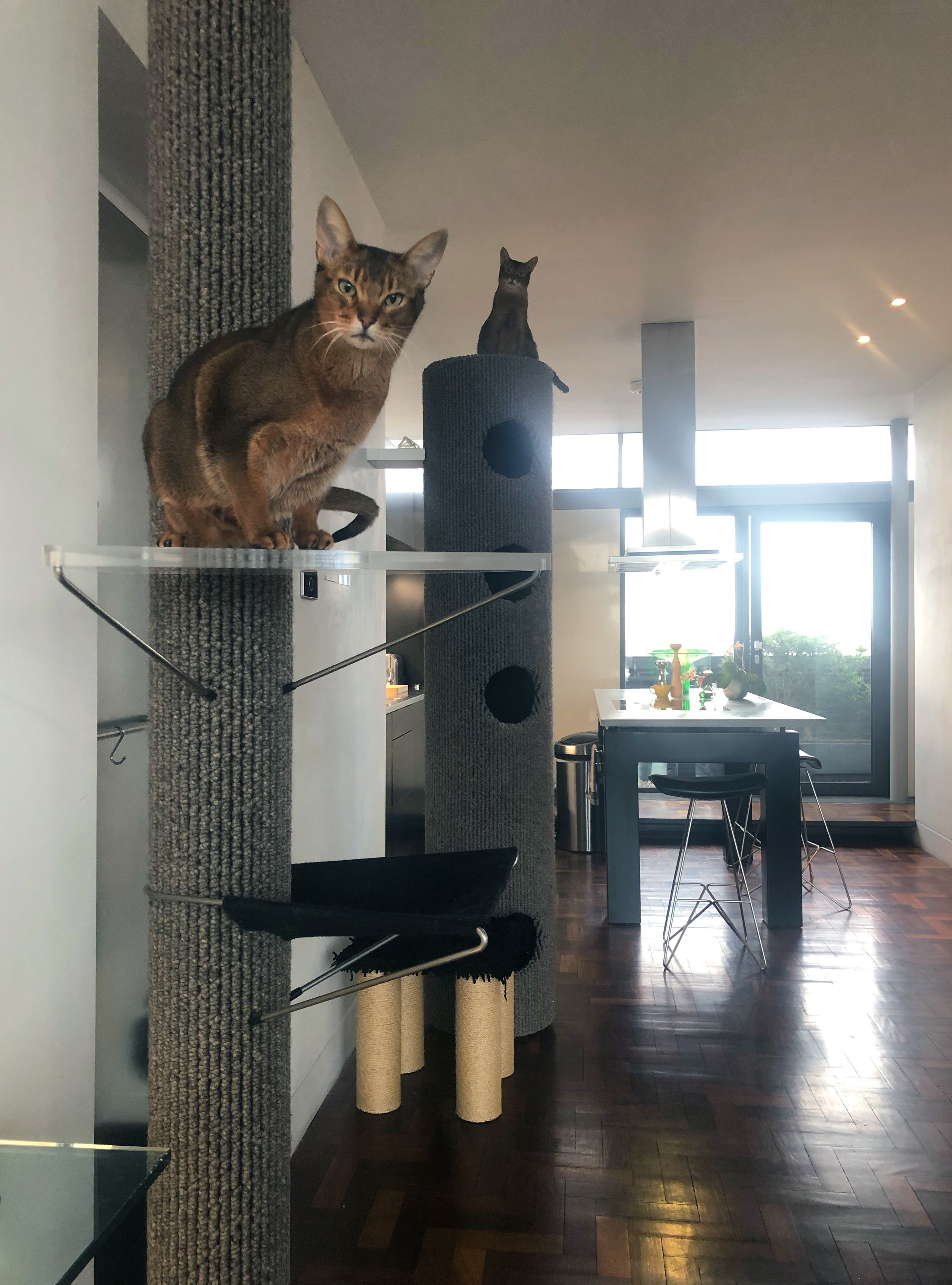 Bello & Tuco’s Tibet Wool Polecat