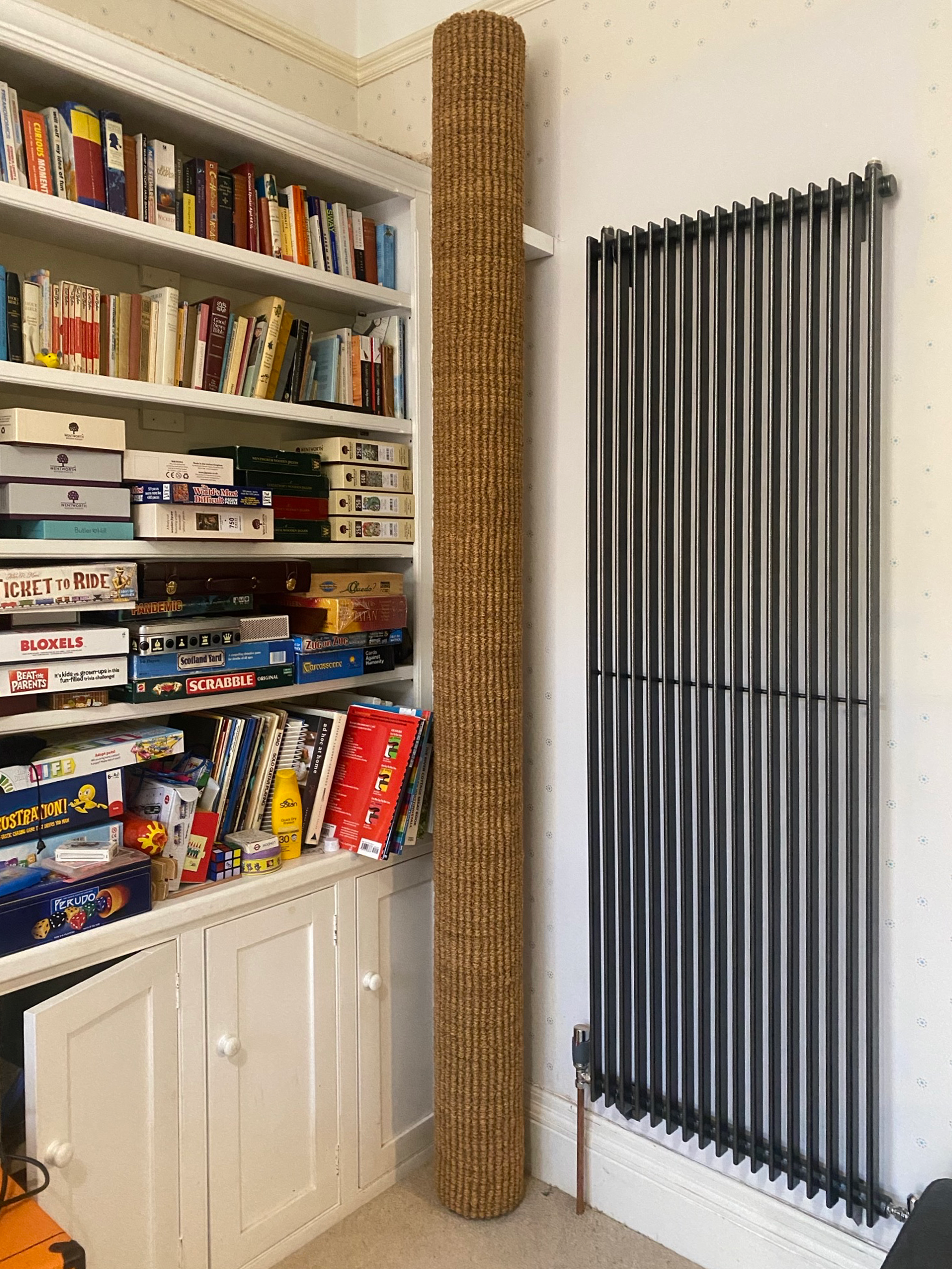 Wall Mounted Polecat