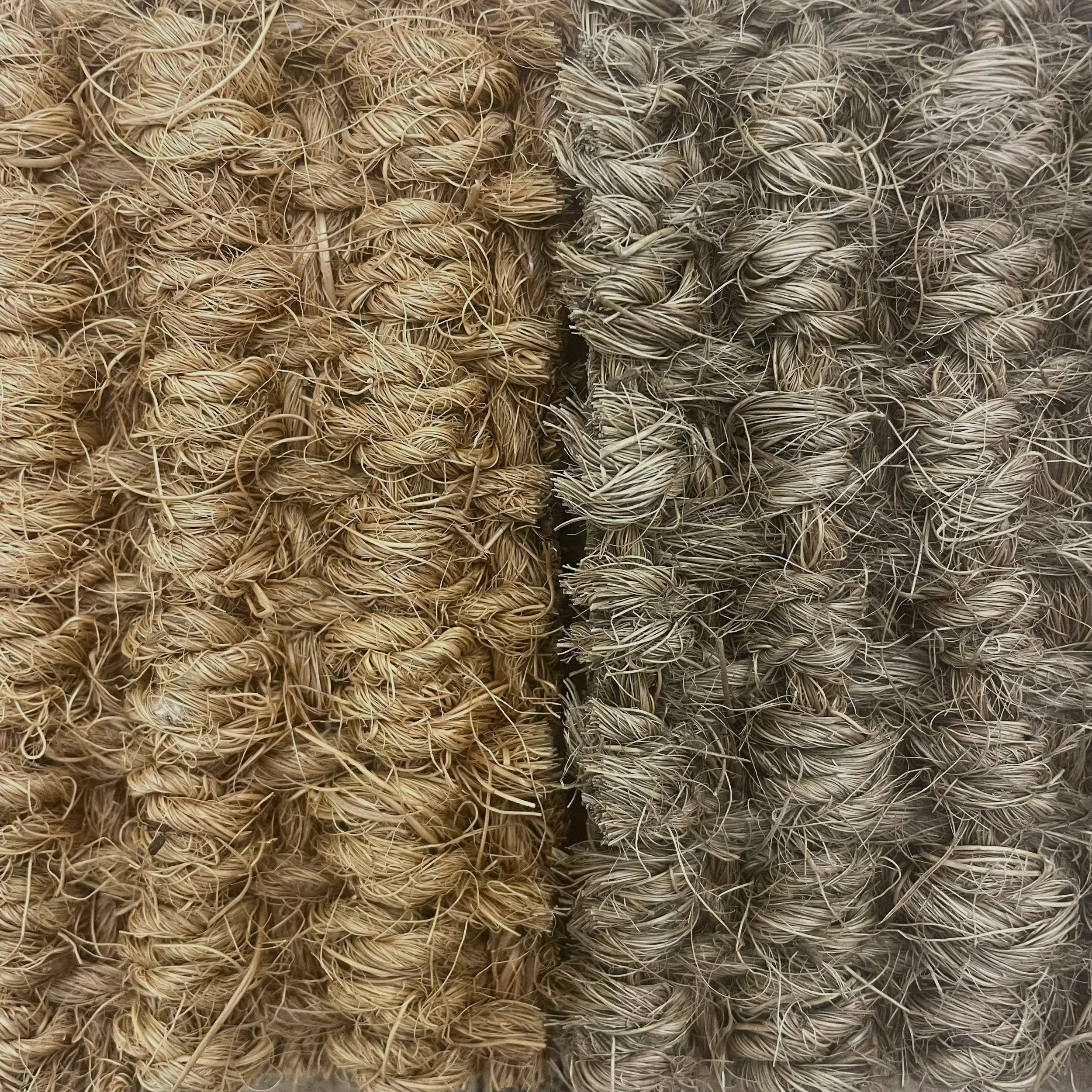 Natural Coir Supply Update