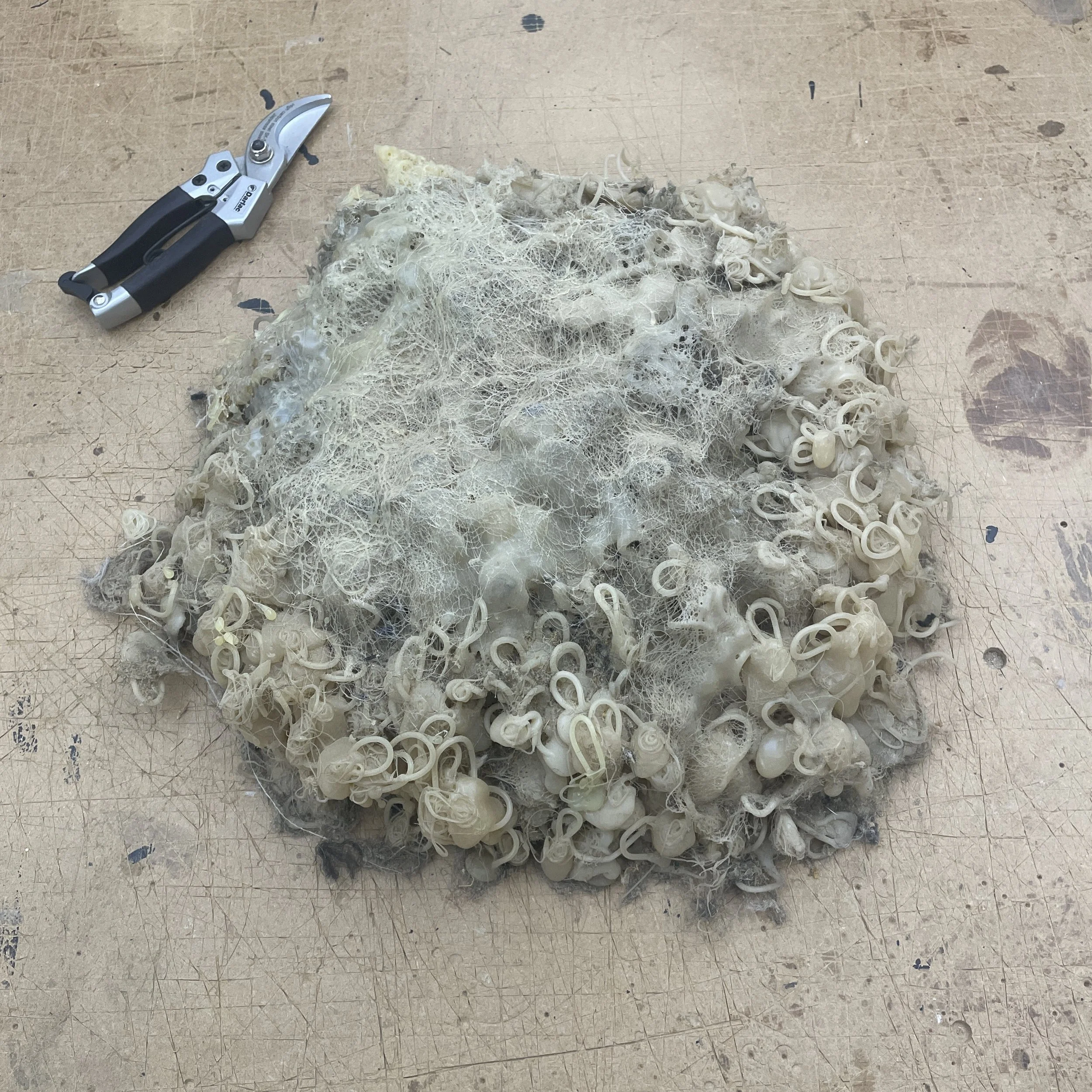 Glue Monster Weigh In