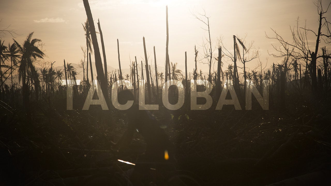 RED CROSS: Retrieving the dead after Typhoon Haiyan