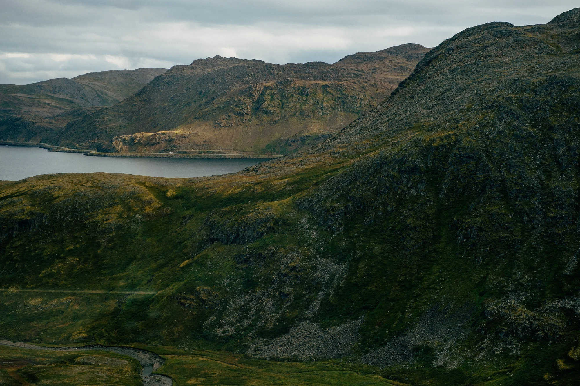 _DSC3150.jpg