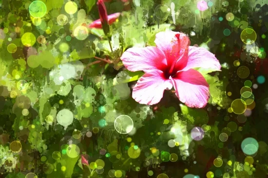 digital art-hibiscus