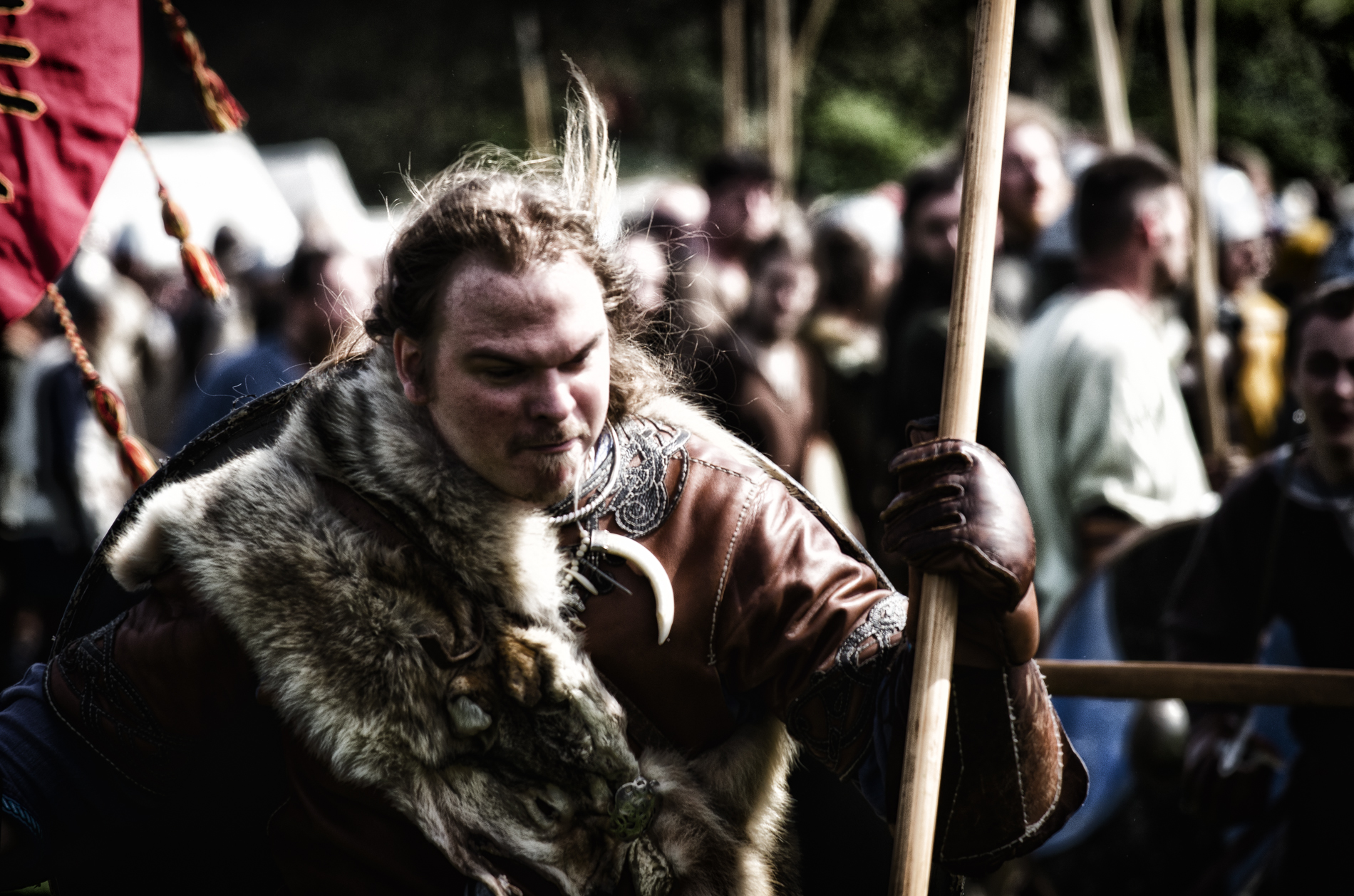 The wolf of Clontarf