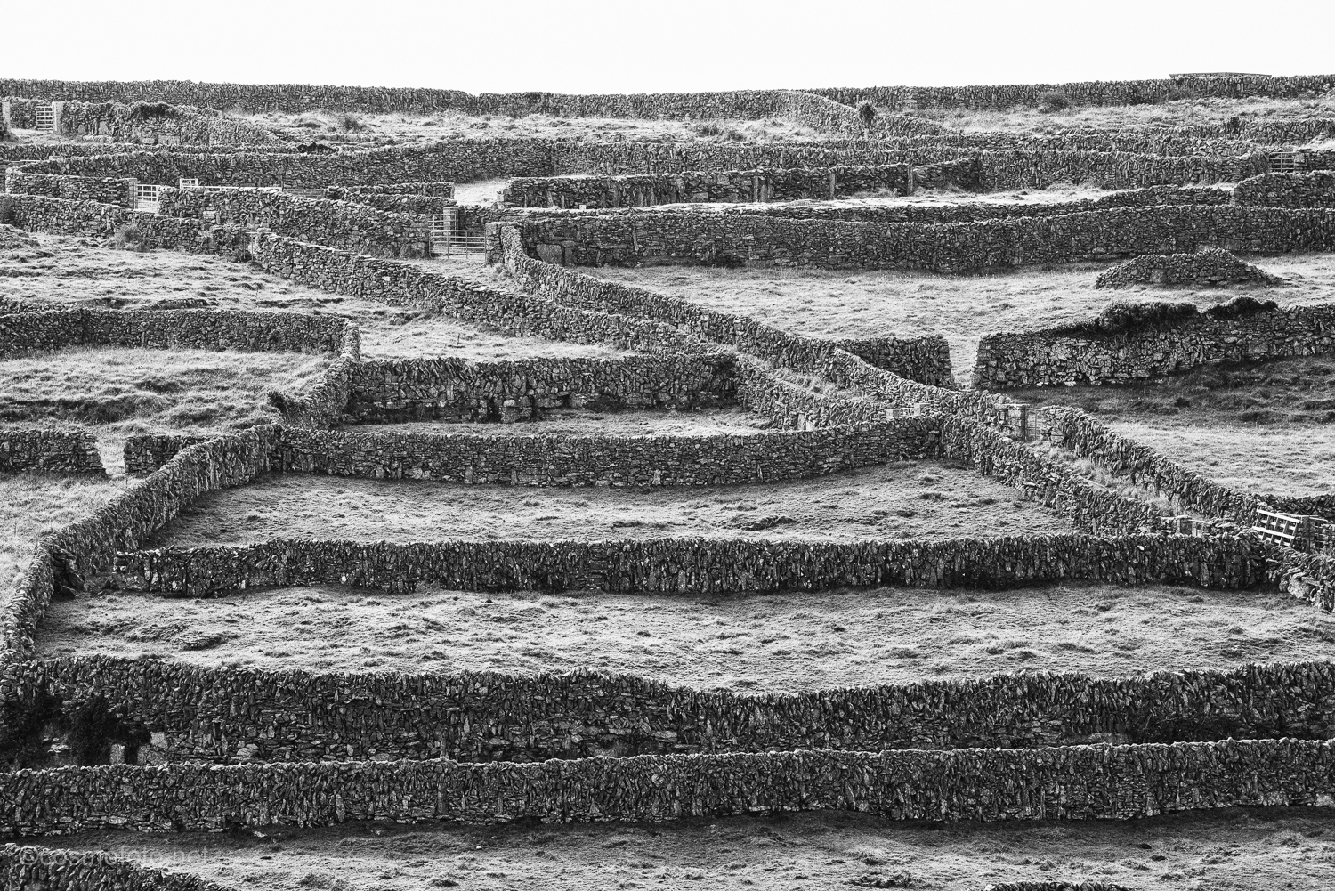 walls, walls, walls....