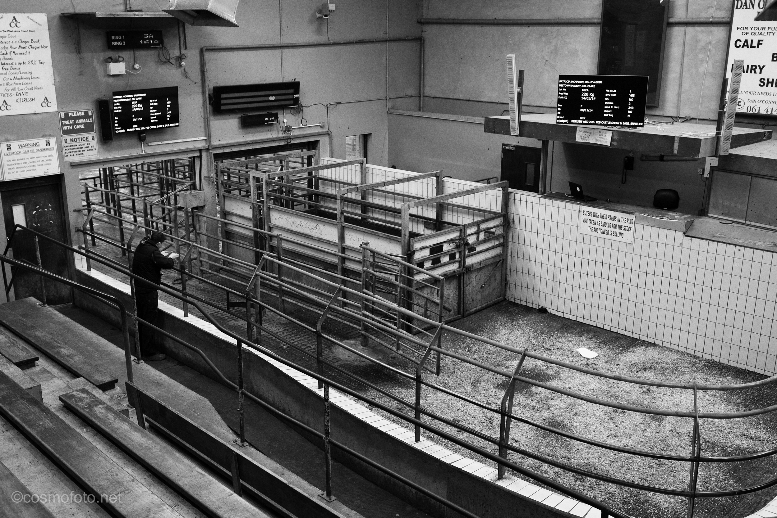 Wrong auction ring my friend...they are all next door.....