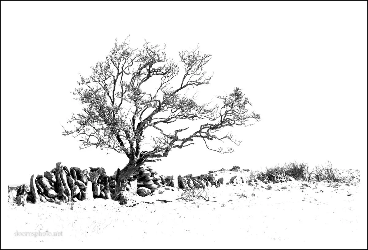 Burren Winter 17 (12).jpg