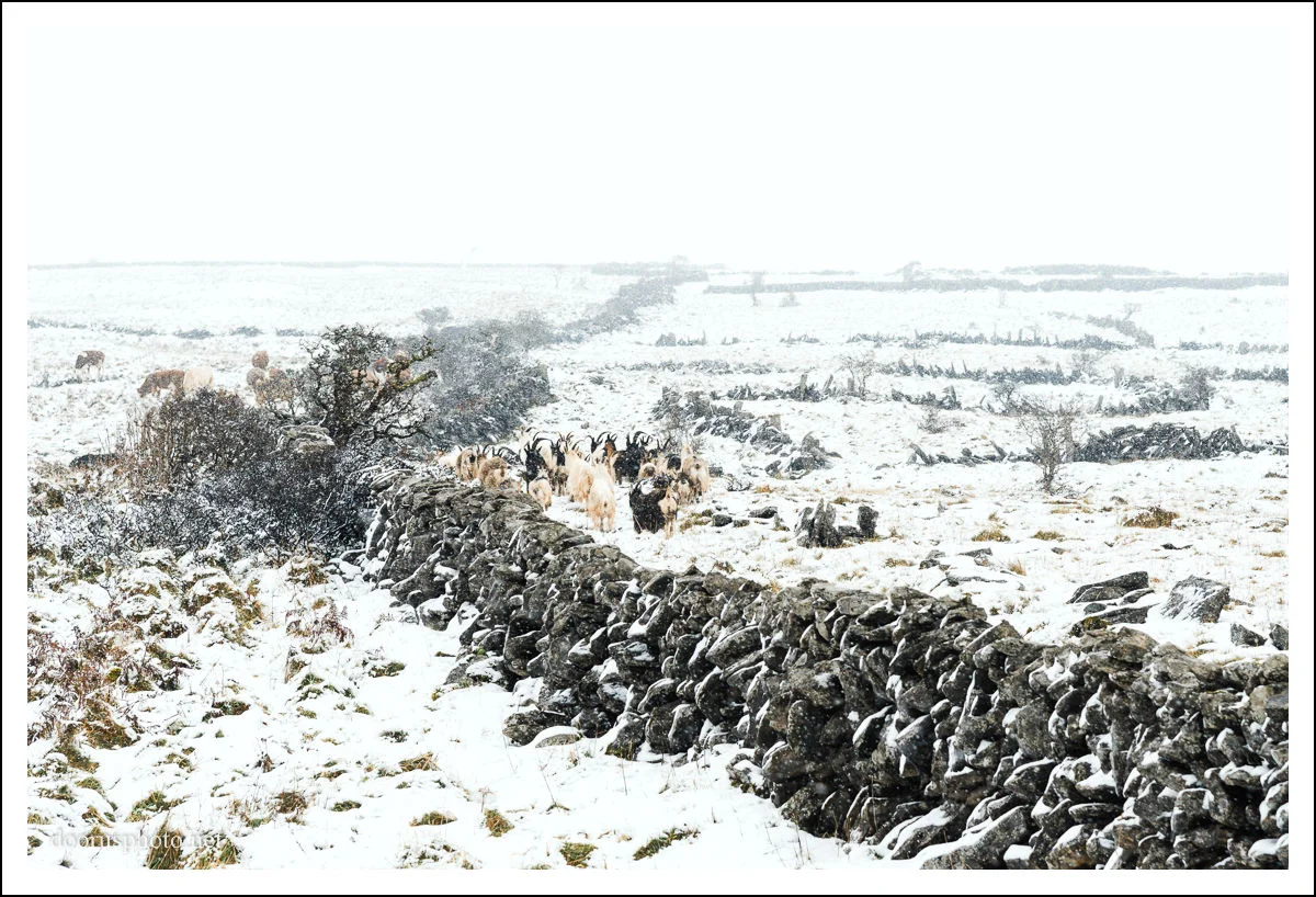 Burren Winter 17 (14).jpg