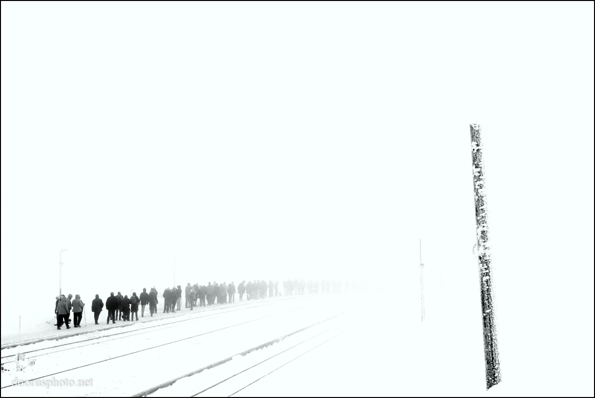 Into The Fog