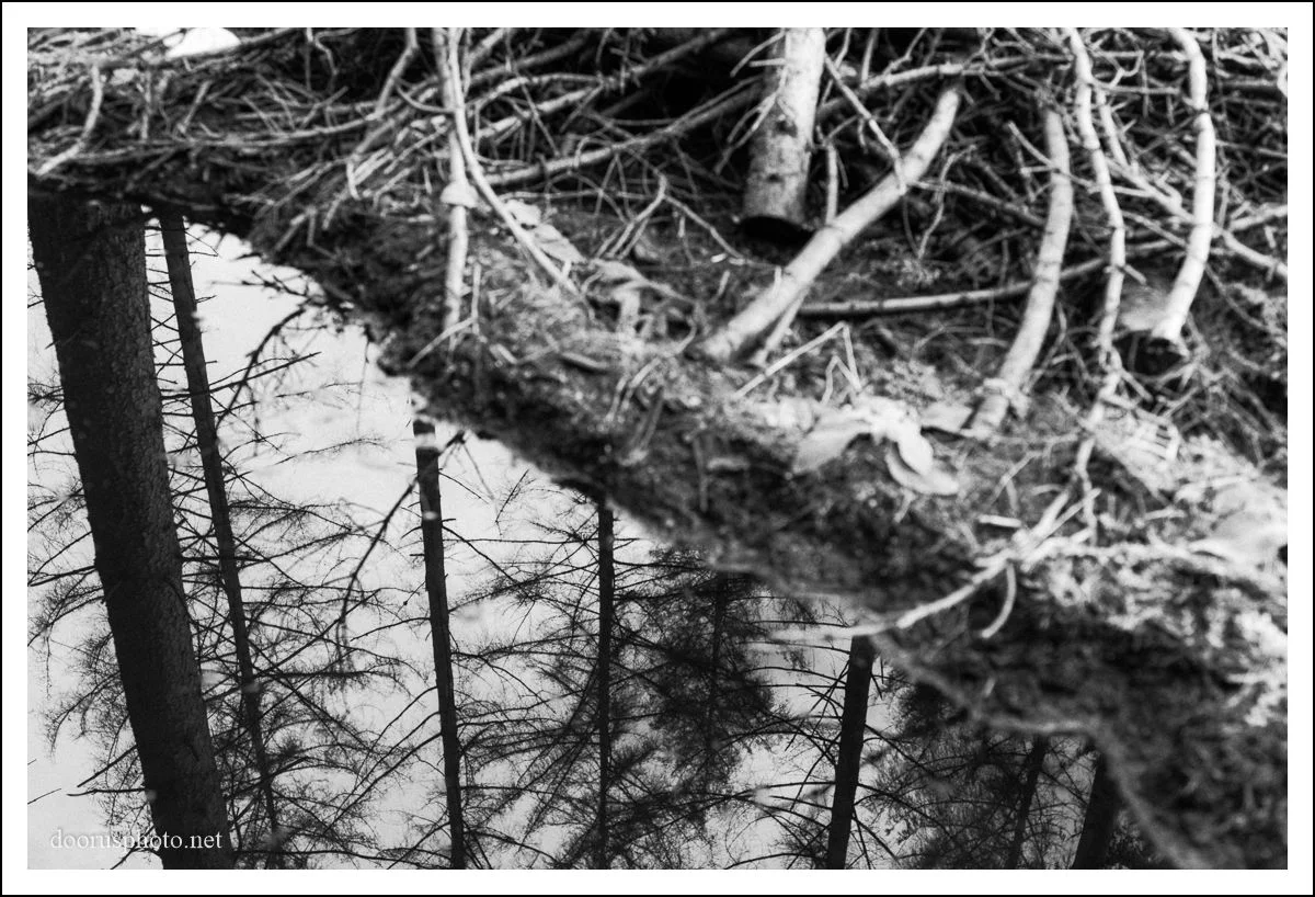 _DOO9956-Edituntitled.jpg