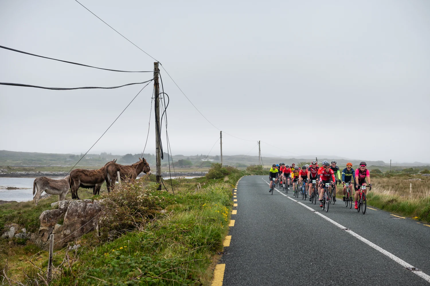 Tour de Connemara