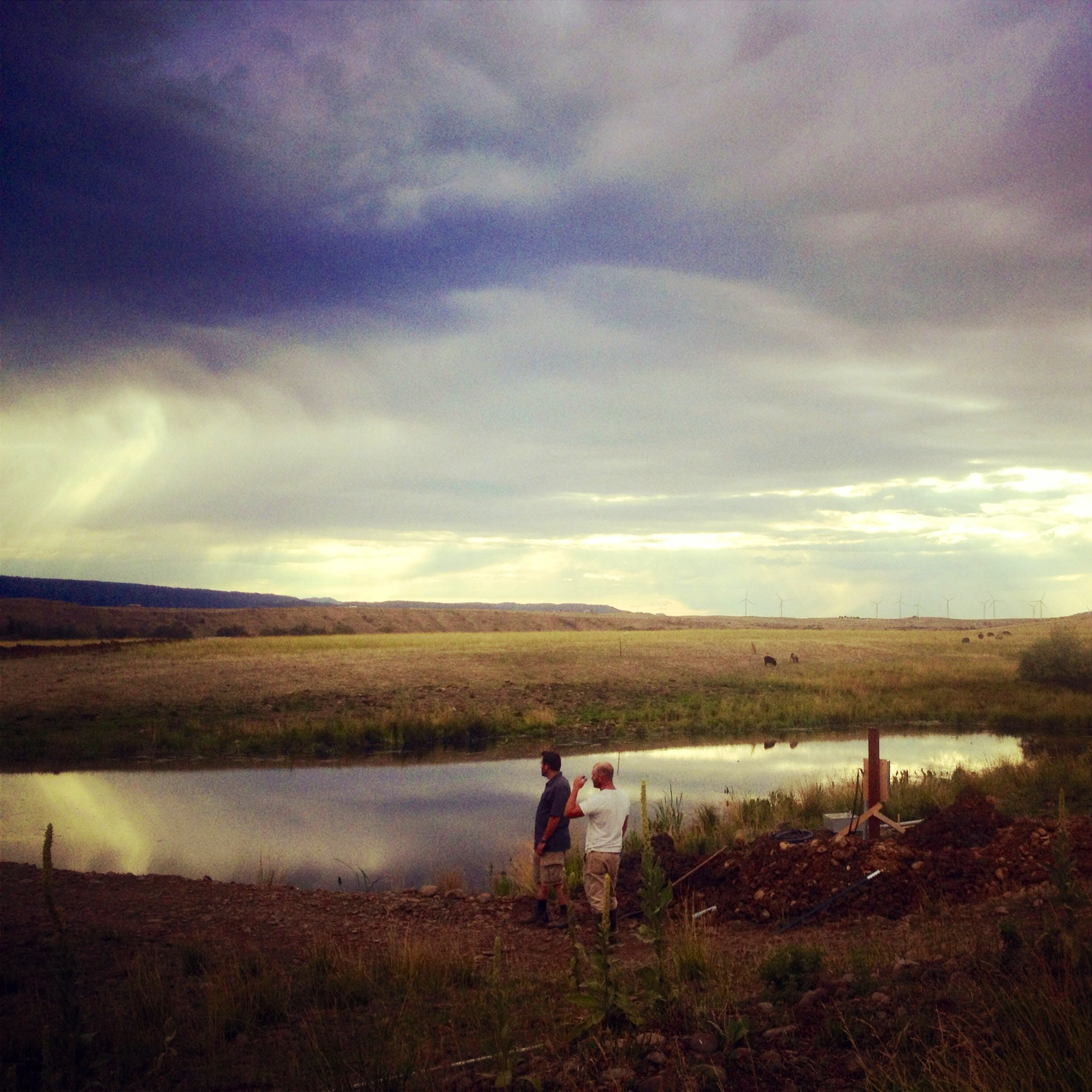 irrigation-project.jpg