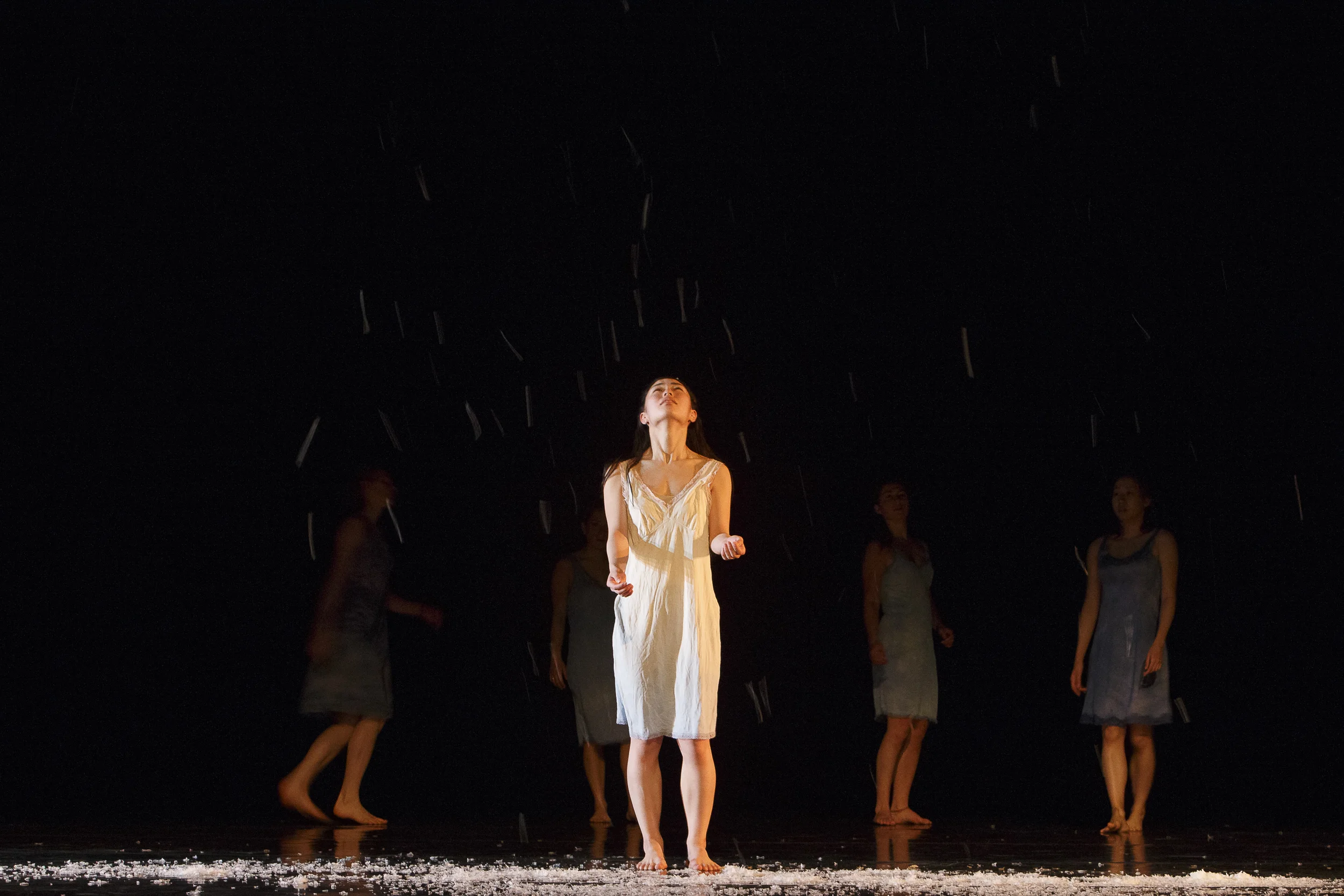 Images used courtesy of the Department of Dance, Faculty Fine Arts, York University.Photographer David Hou, 2014