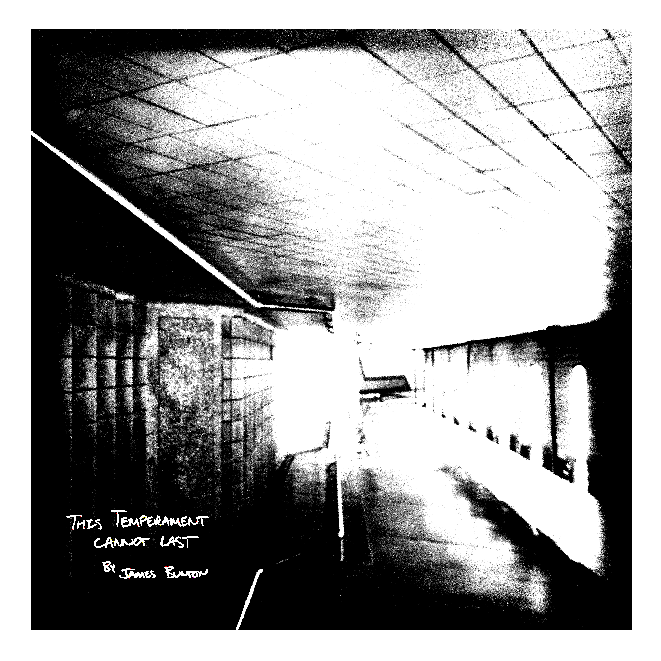 This Temperament Cannot Last - Cover.png