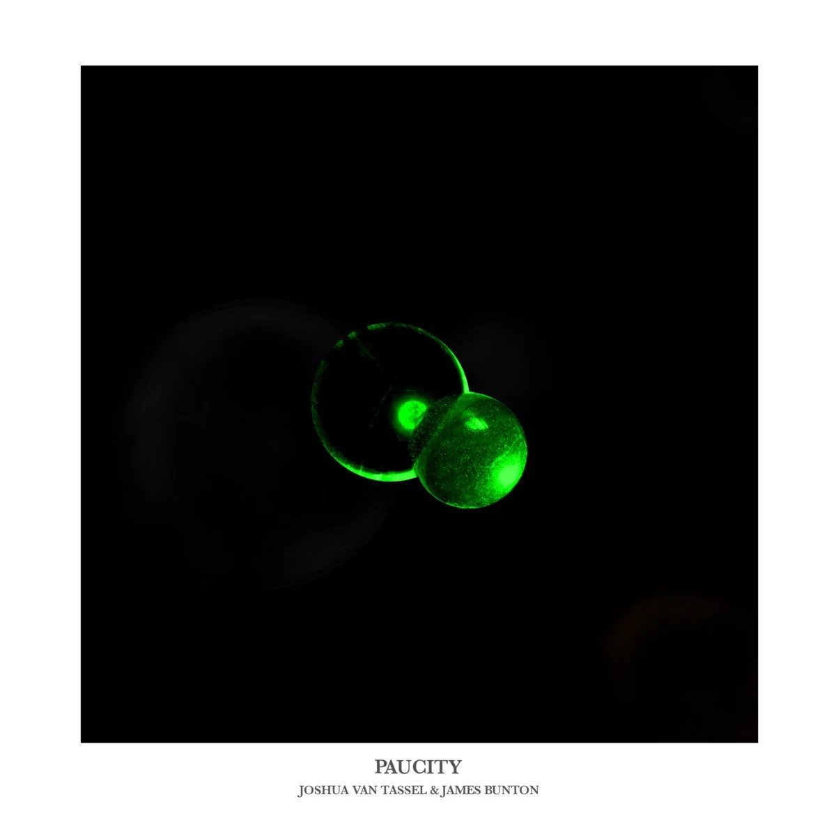 Paucity.jpeg