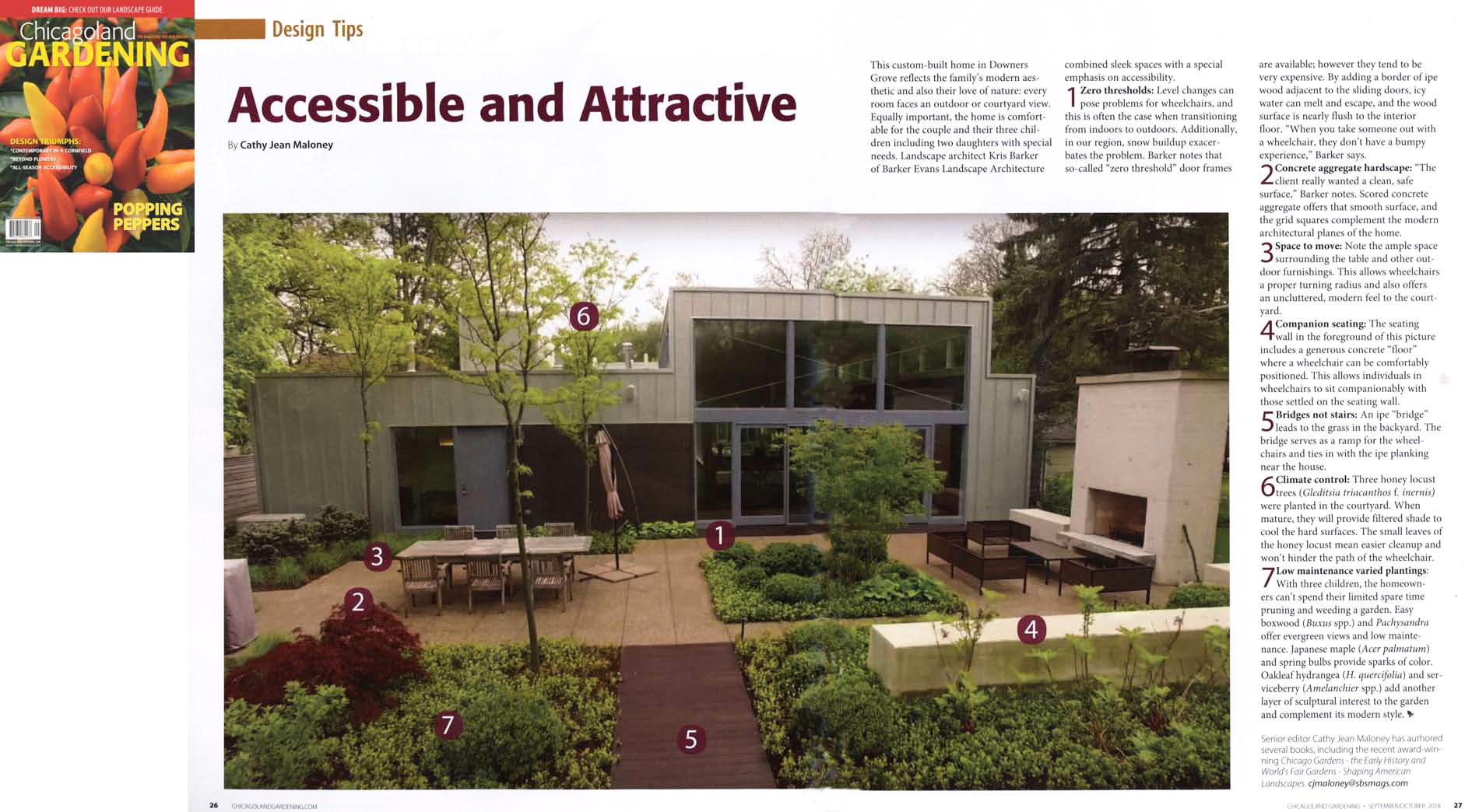 CGM Article with cover.jpg